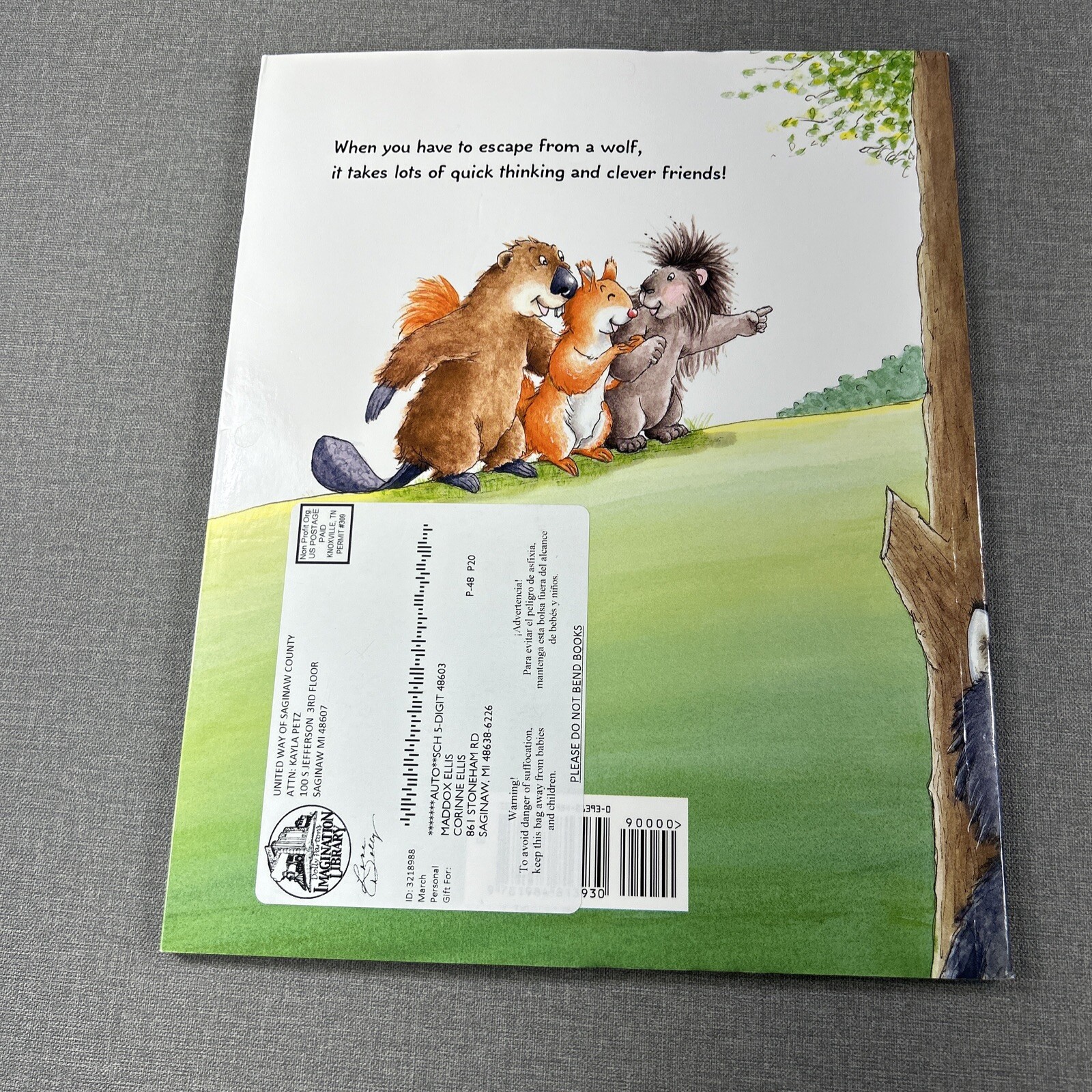 Imagination Library Bunny Silly Goose Pup and Bear Llama 5 Paperback Book Lot