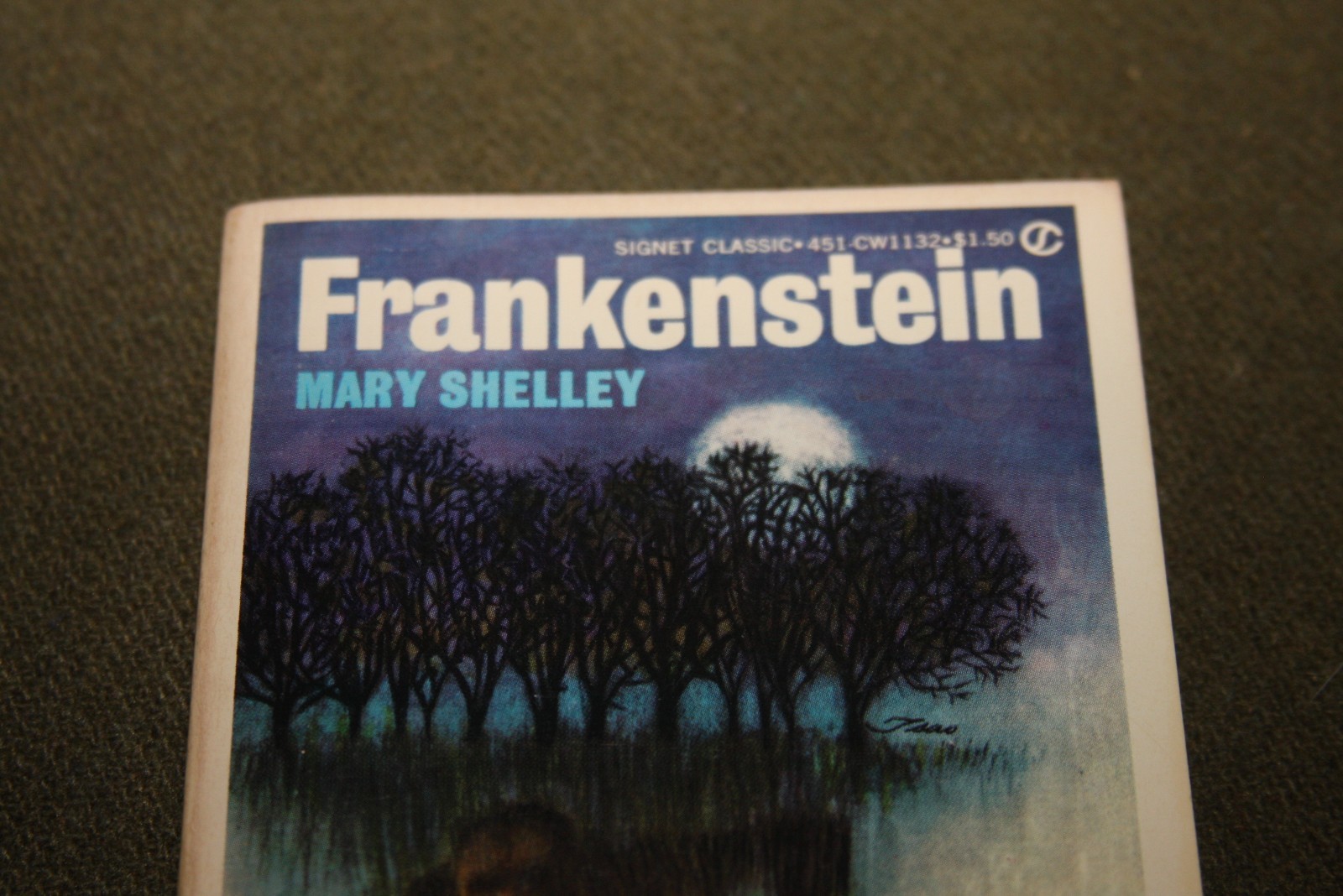 Frankenstein by Mary Shelley 1965 PB 13th Print Signet Classic