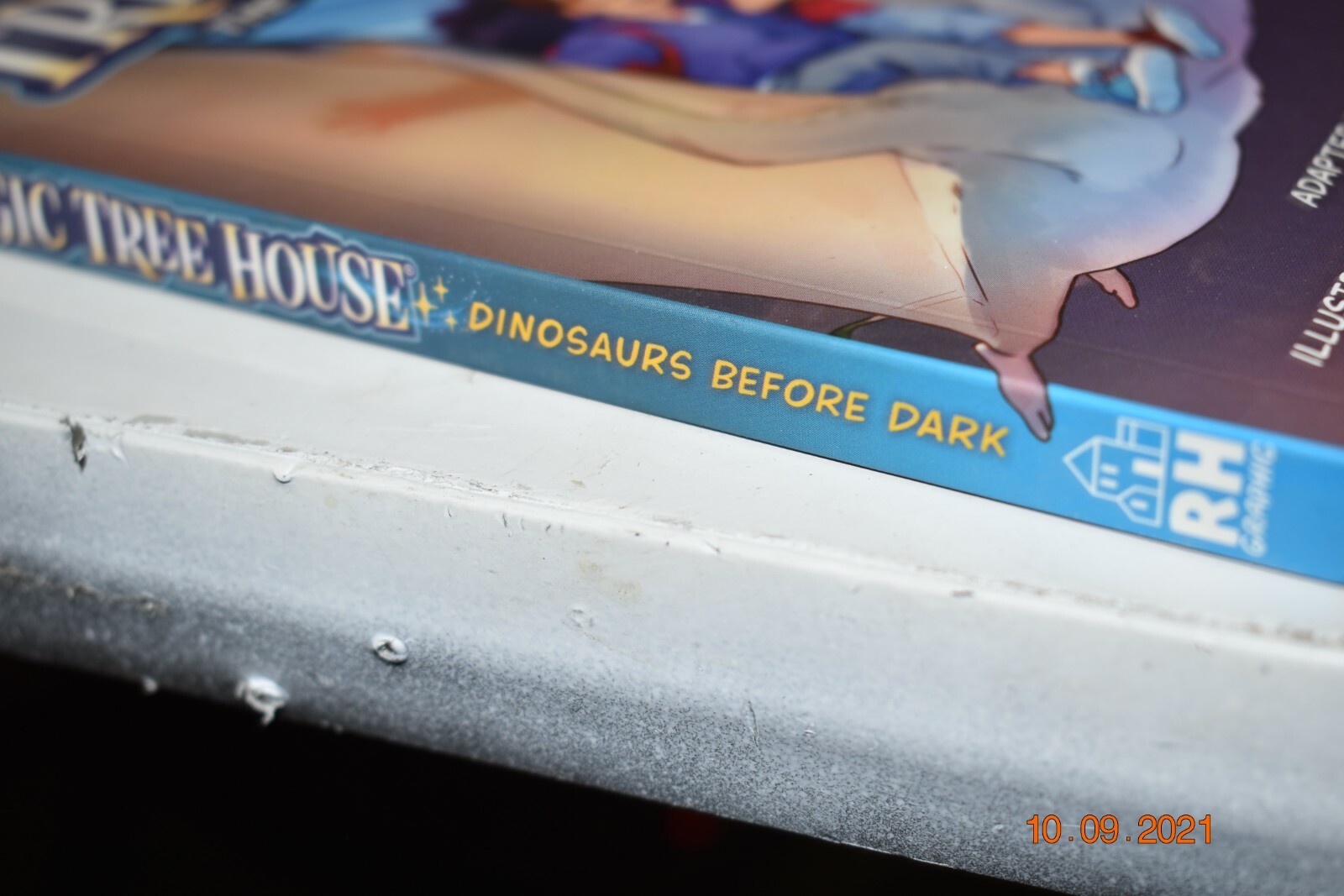 Dinosaurs Before Dark Graphic Novel (Magic Tree House (R)), Osborne, Laird*-