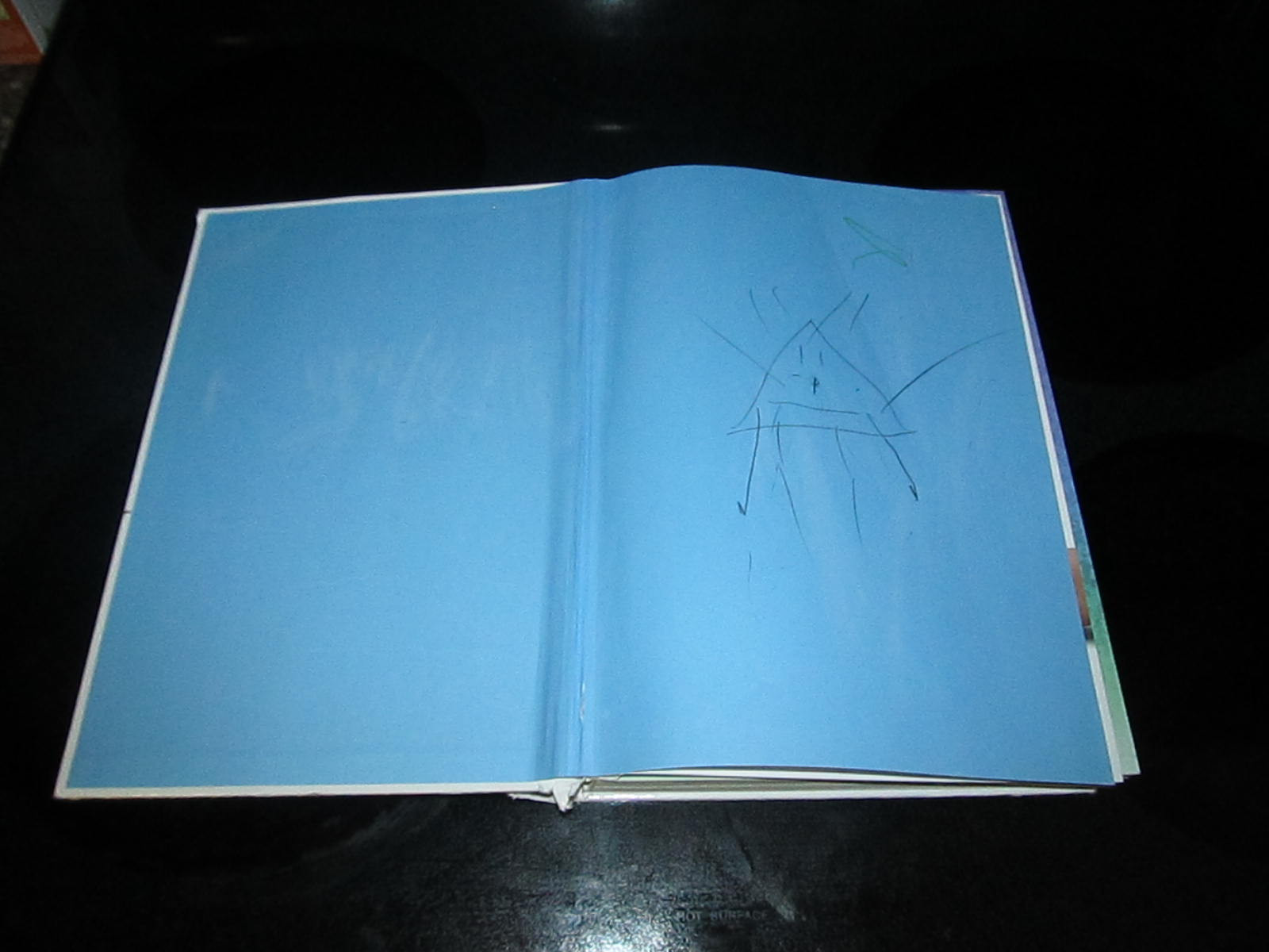 Terry Longhurst “I Can Draw..” Youth Young Adult Book Art Artwork Animals People