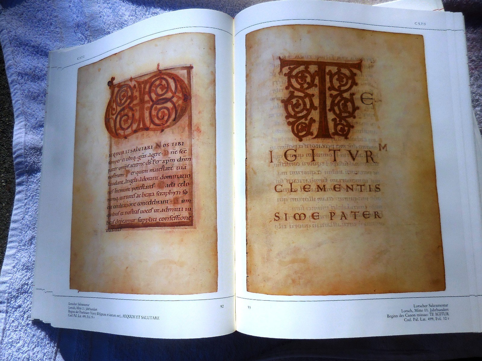 Bibliotheca Palatina Heidelberg EXHIBITION CATALOG 1985 Illuminated Manuscripts