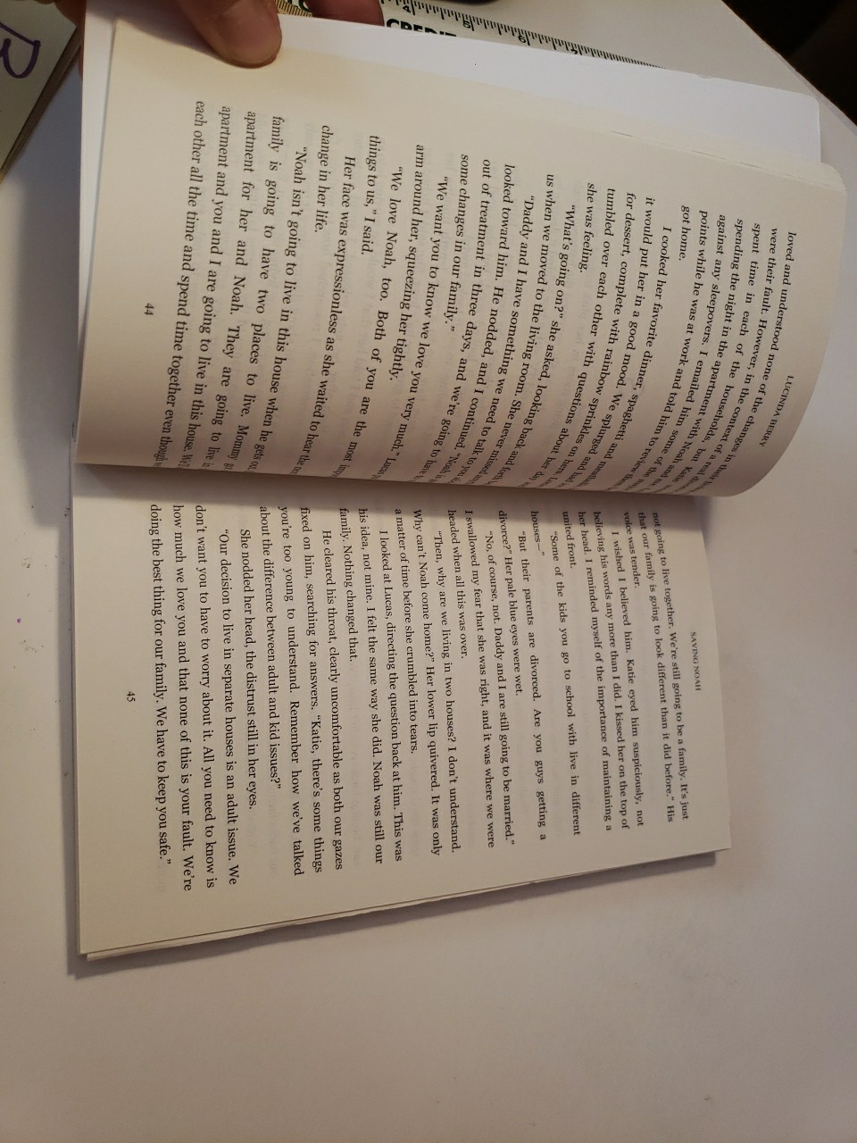 Saving Noah Paperback Book 2017 Lucinda Berry
