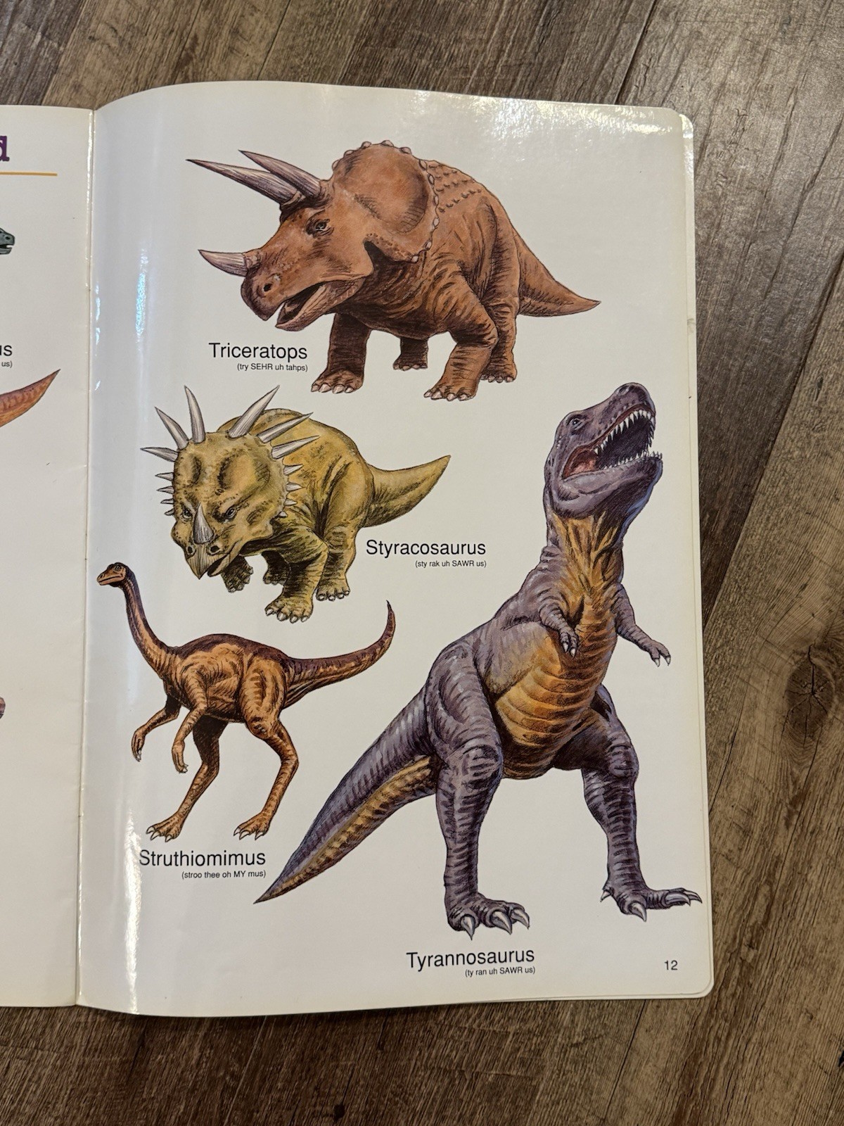 AMAZING DINOSAURS Giant Picture Gallery Book (1992, Ed. Insights, EI-3313) RARE