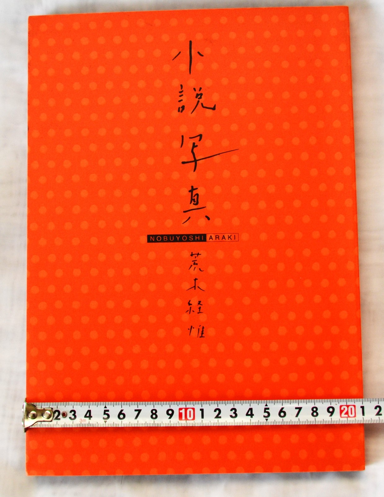 Nobuyoshi Araki Photo Book Novel-themed photos large book 29 x 21 cm 135P Rare