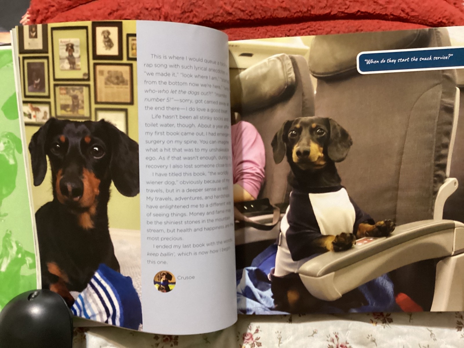 CRUSOE, THE WORDLY WIENER DOG, DACHSHUND, EXC. COND,230 PAGES/ FREE POSTAGE!!!!!