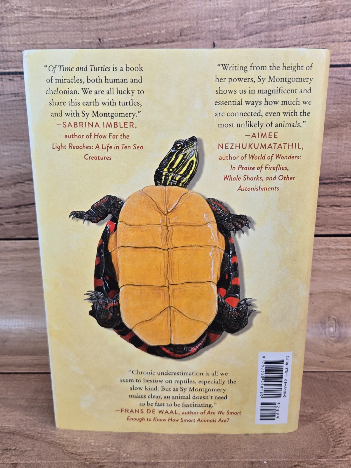 Of Time And Turtles: Mending The World, Shell By Shattered Shell Sy Montgomery