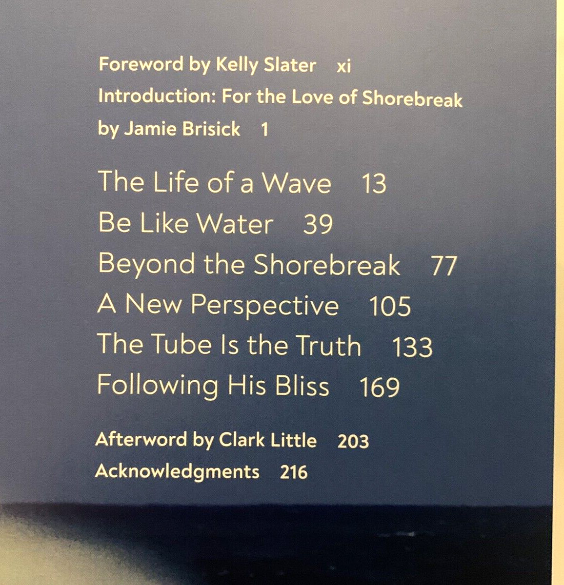 Clark Little : The Art of Waves by Clark Little 2022 Hardcover VG