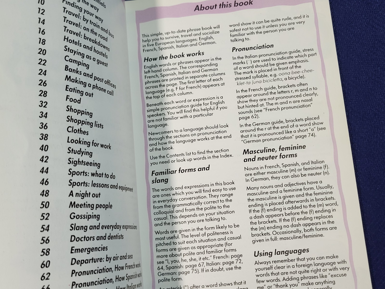Survive in Five Languages – Paperback, by Ceris Farnes – Very Good