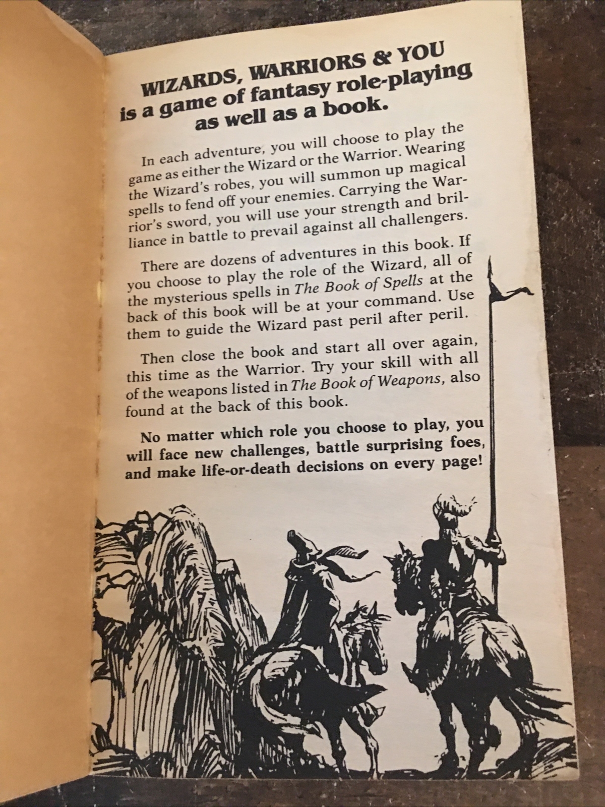 Wizards, Warriors & You #2: The Siege of the DragonRiders CYOA Gamebook 1984