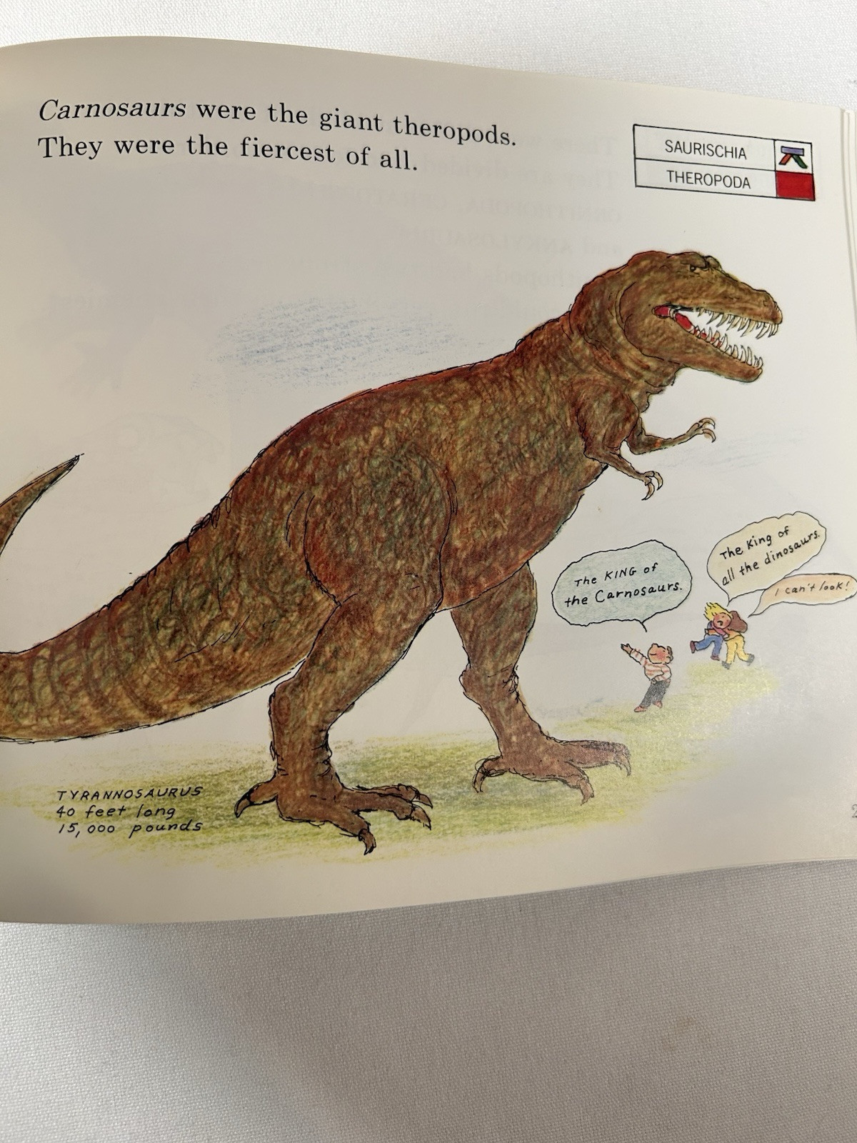 Dinosaurs Are Different Book and Tape (Let’s-Read-and-Find-Out Book). 1985