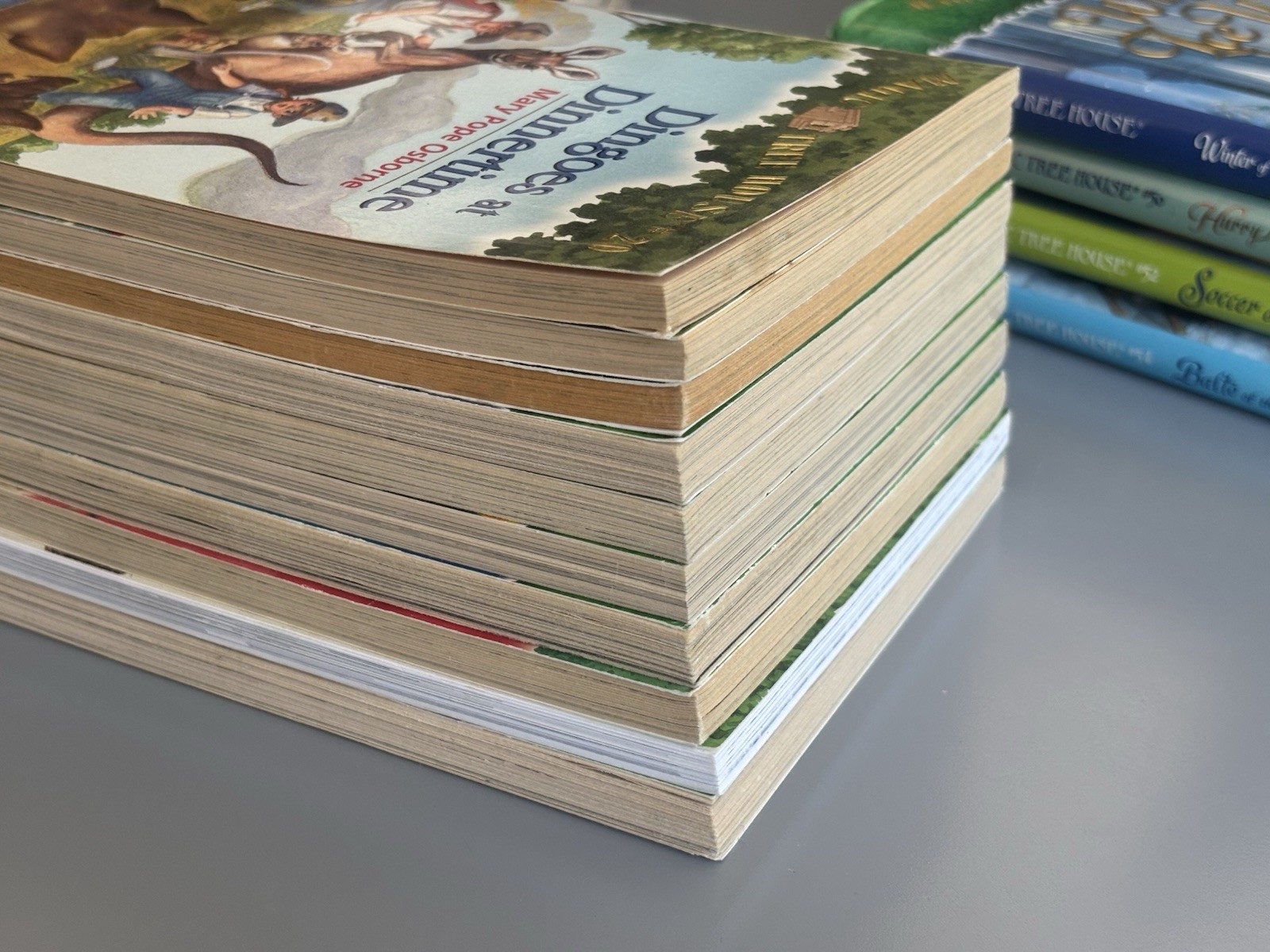 Magic Tree House Chapter Books YOU CHOOSE PICK, BUILD A LOT Merlin Mission