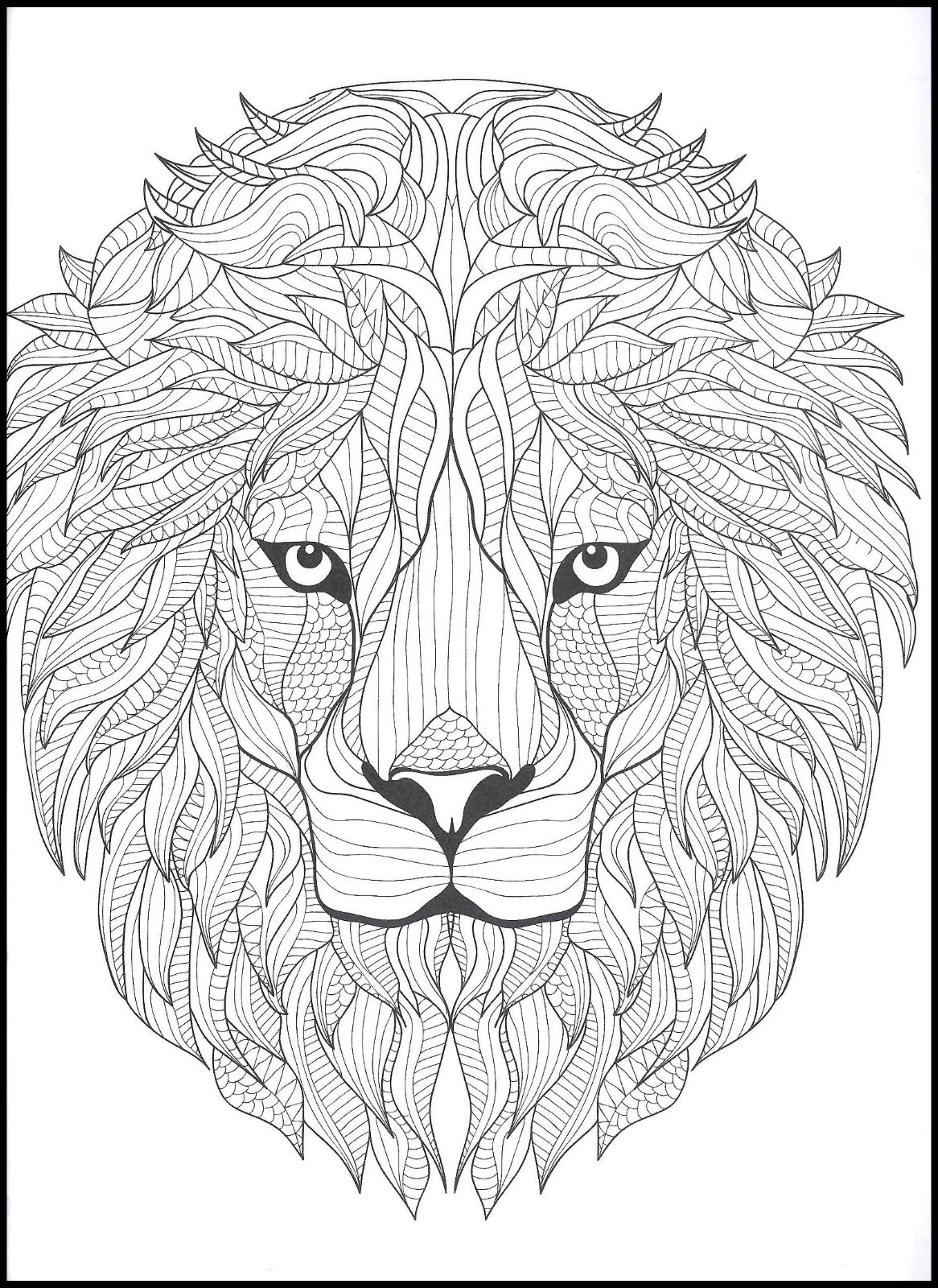 Amazing Animals – Mindful Coloring – Book