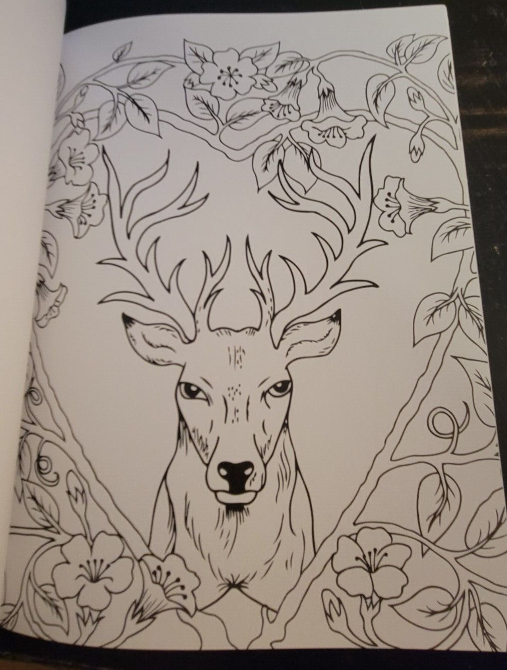 MAJESTIC CREATURES Vol 12 Adult Coloring Book With 47 Prints Ready To Frame