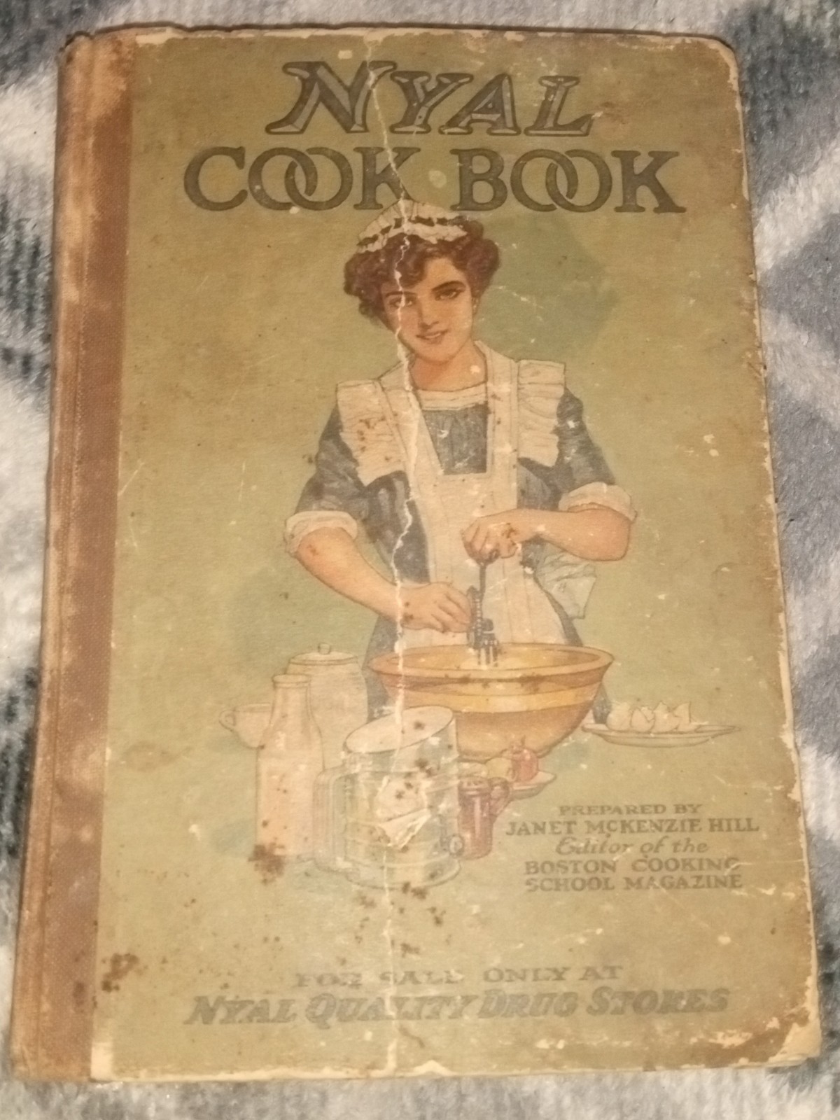 1916 Nyal Cook Book by Janet McKenzie Hill Boston Cooking School Illustrated
