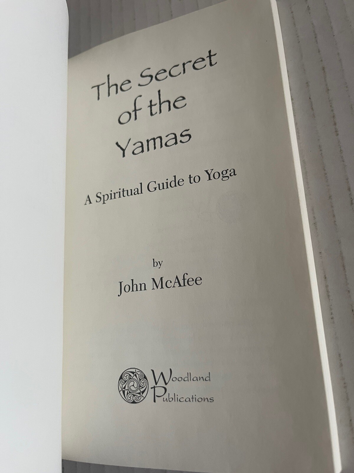 The Secret of the Yamas : A Spiritual Guide to Yoga by John McAfee (2001, Trade