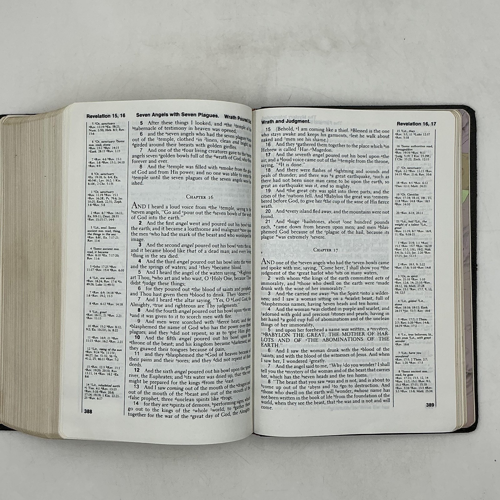 New American Standard Bible Reference Edition Lockman 1973 Morocco Leather