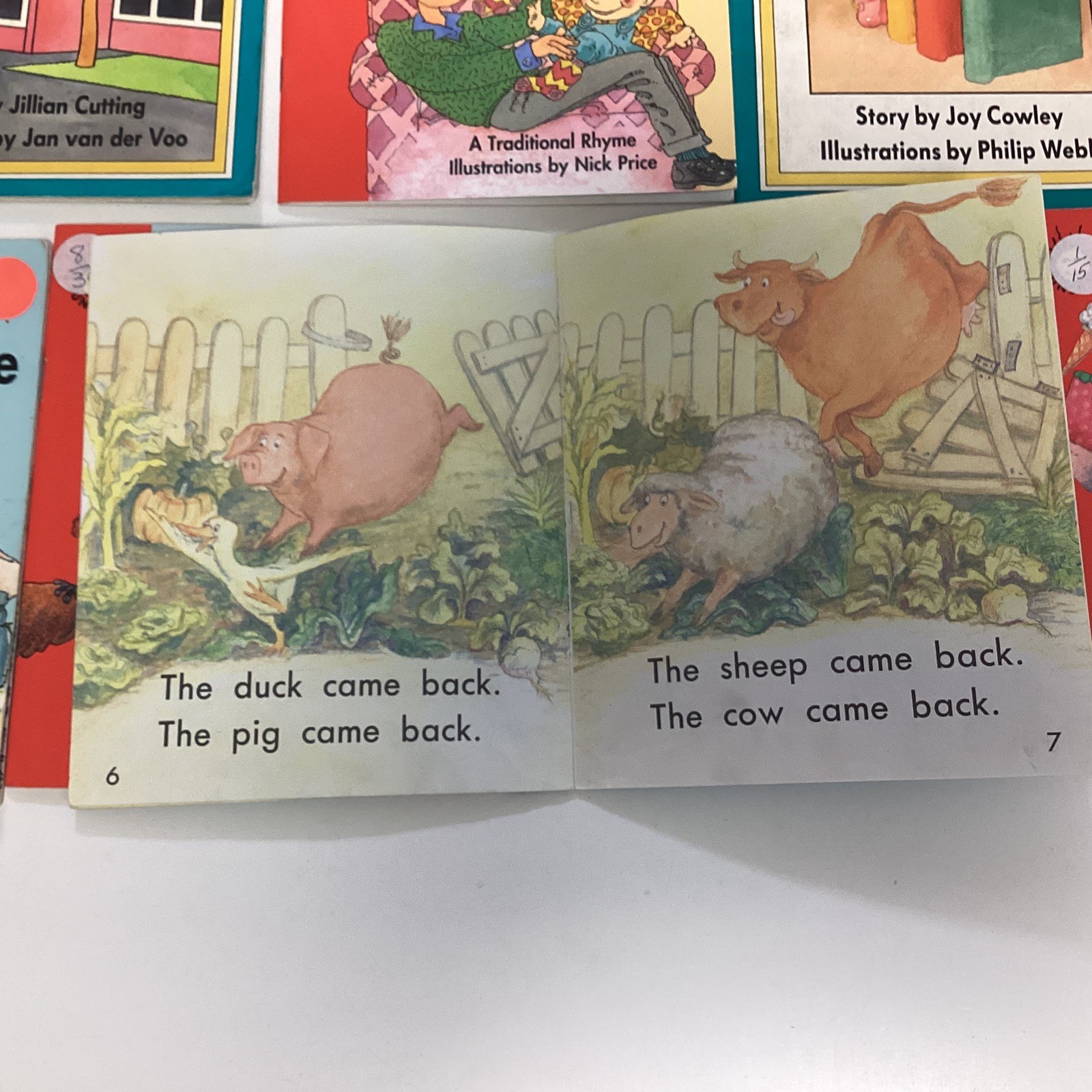 Sunshine Kindergarten Reader 10 Book Lot Level A-C Rigby Wright