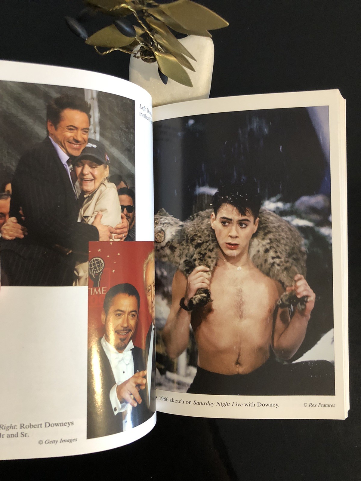 Robert Downey Jr The Biography Martin Howden J Blake 2010 First Ed/F.Pr. SC LN