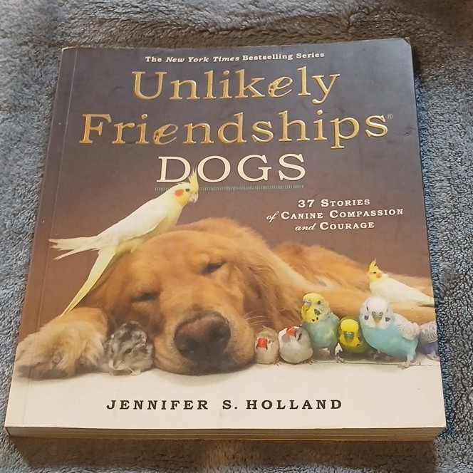 Unlikely Friendships: Dogs Paperback by Jennifer S. Holland, Workman, Pets