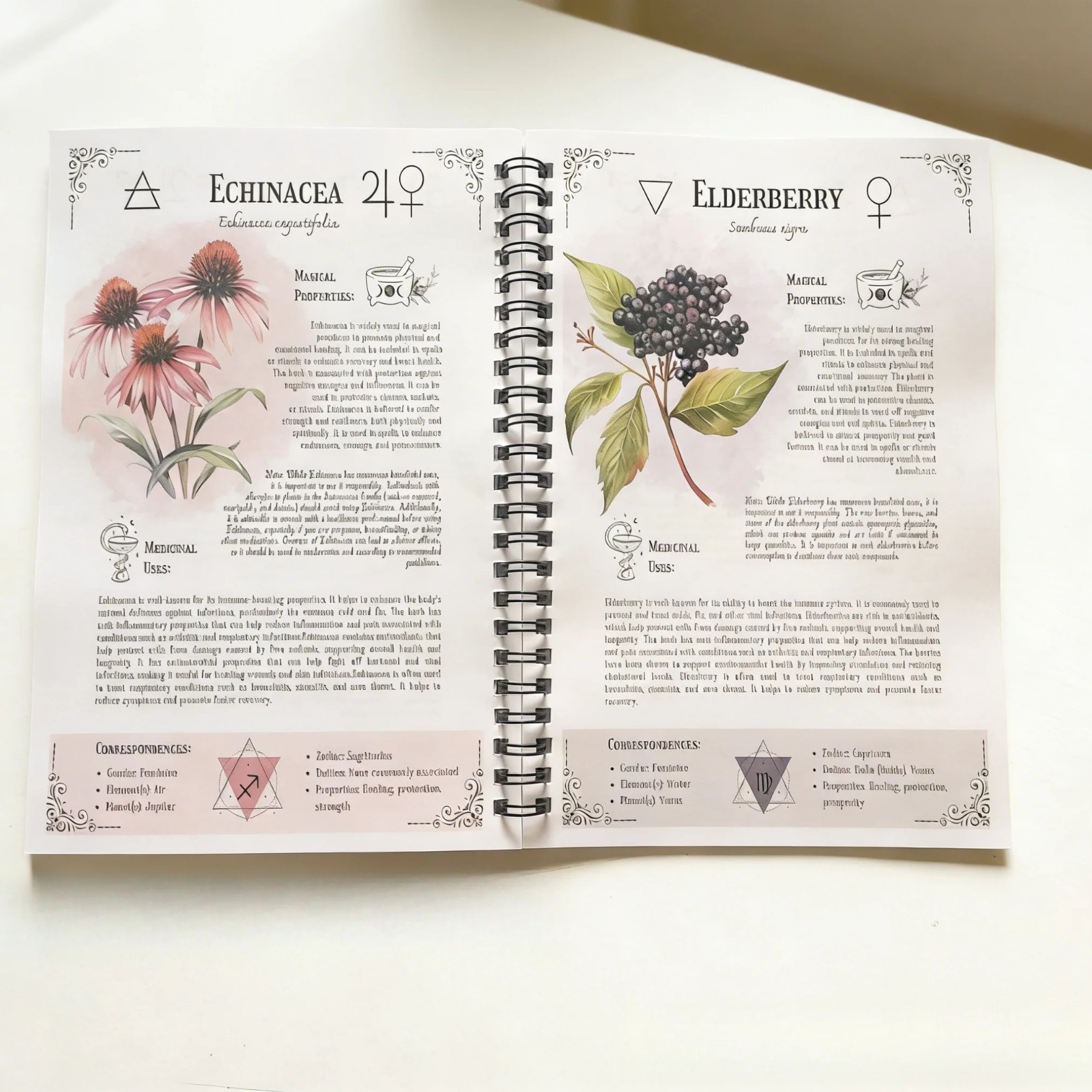 Natural Healing Handbook Herbal Remedies Spiral Notebook Plant Lovers Book