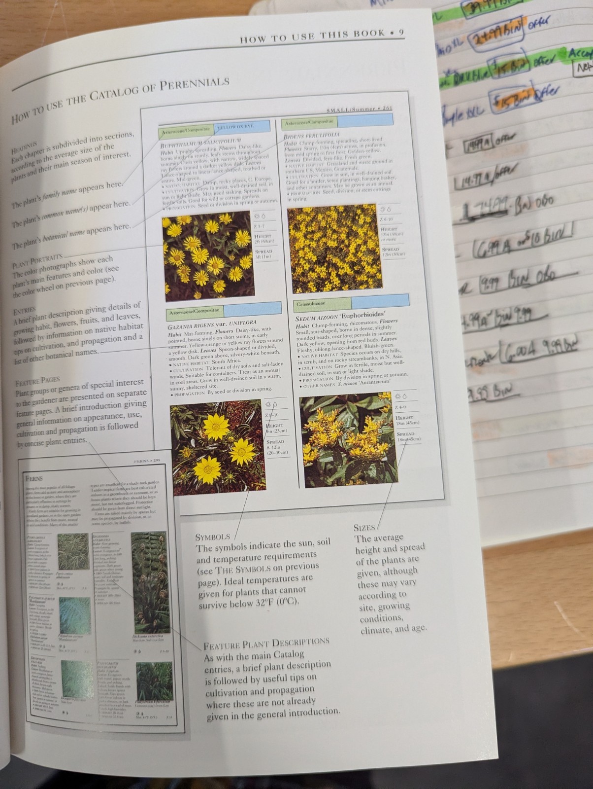 DK Eyewitness Garden Handbooks Perennials David Joyce Deni Bown HC Illus