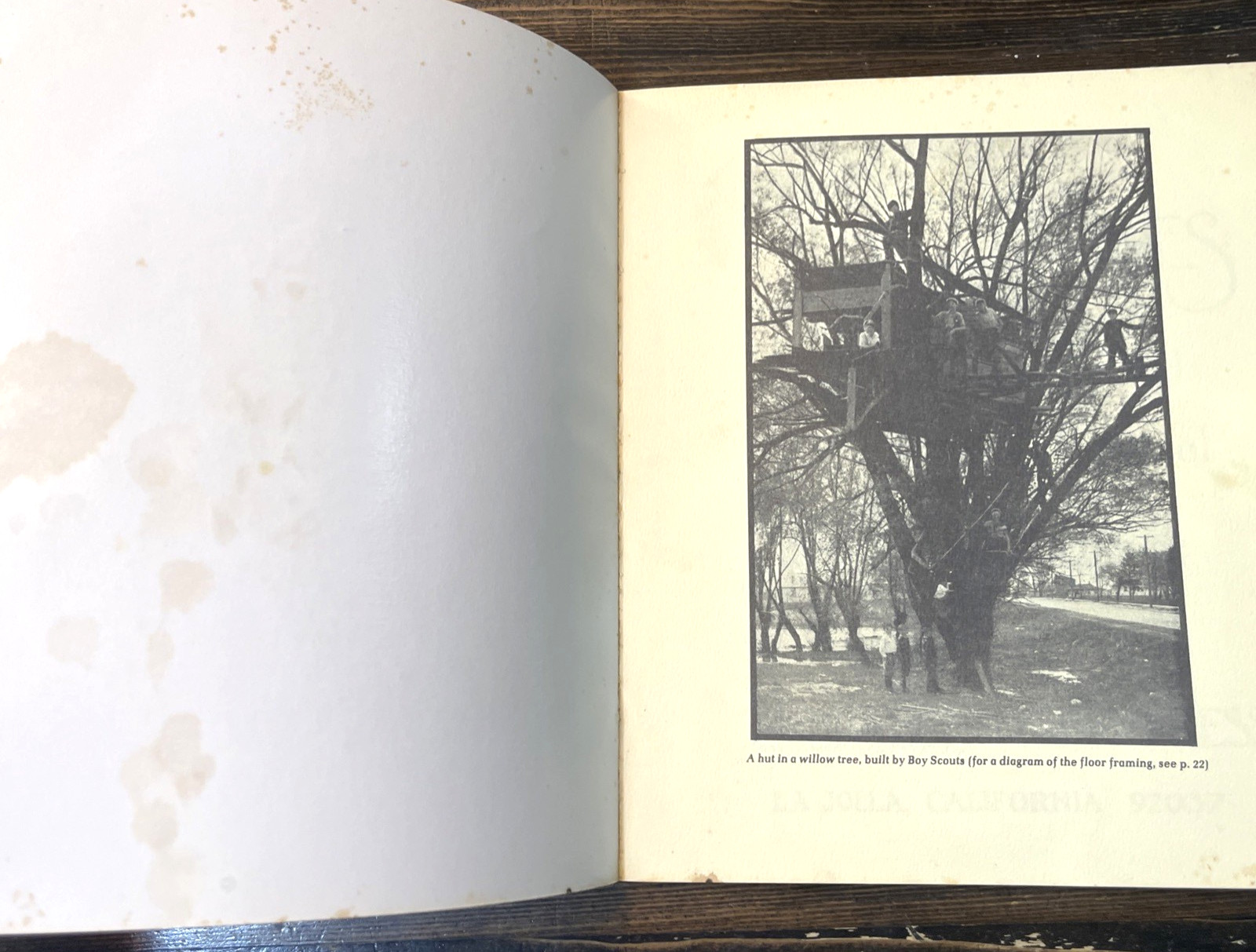 Tree Houses (1975) Green Tiger Press 1st Ed PB Illustrated Arboreal Architecture