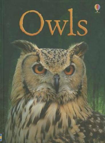 Owls (Usborne Beginners) – Hardcover By Bone, Emily – GOOD