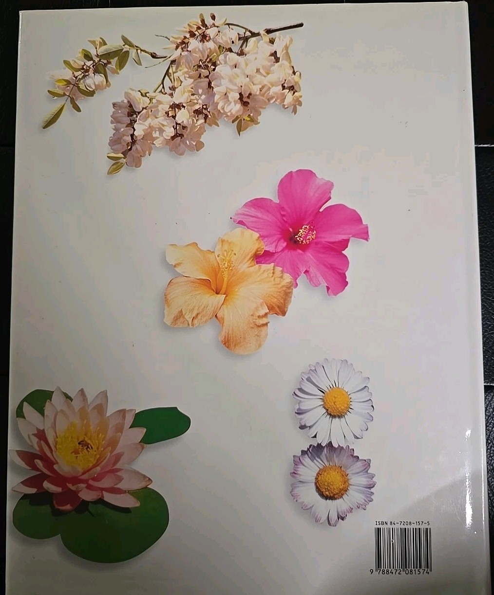 Encyclopedia of Medicinal Plants Vol 2 | Health Library Hardcover Herb Reference