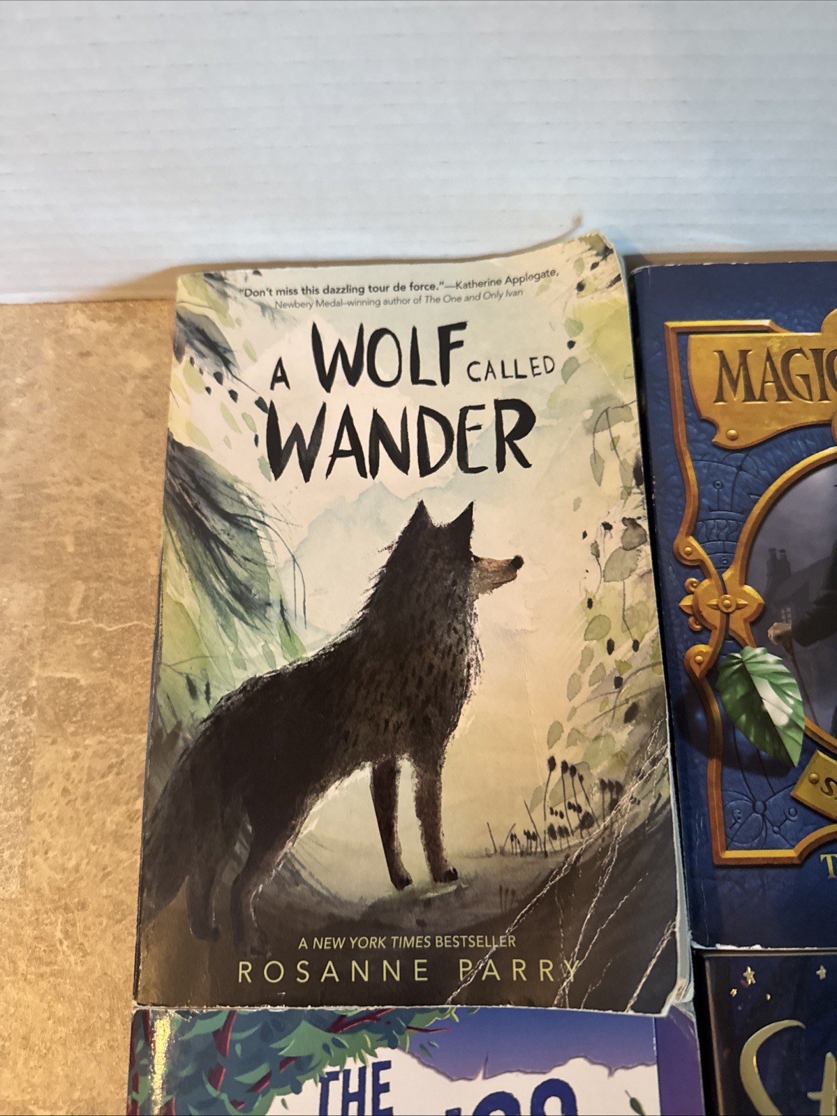 Teen Book Lot Of 5 Magic Thief, Star Friends, Katana Ballerina, Wolf Girl
