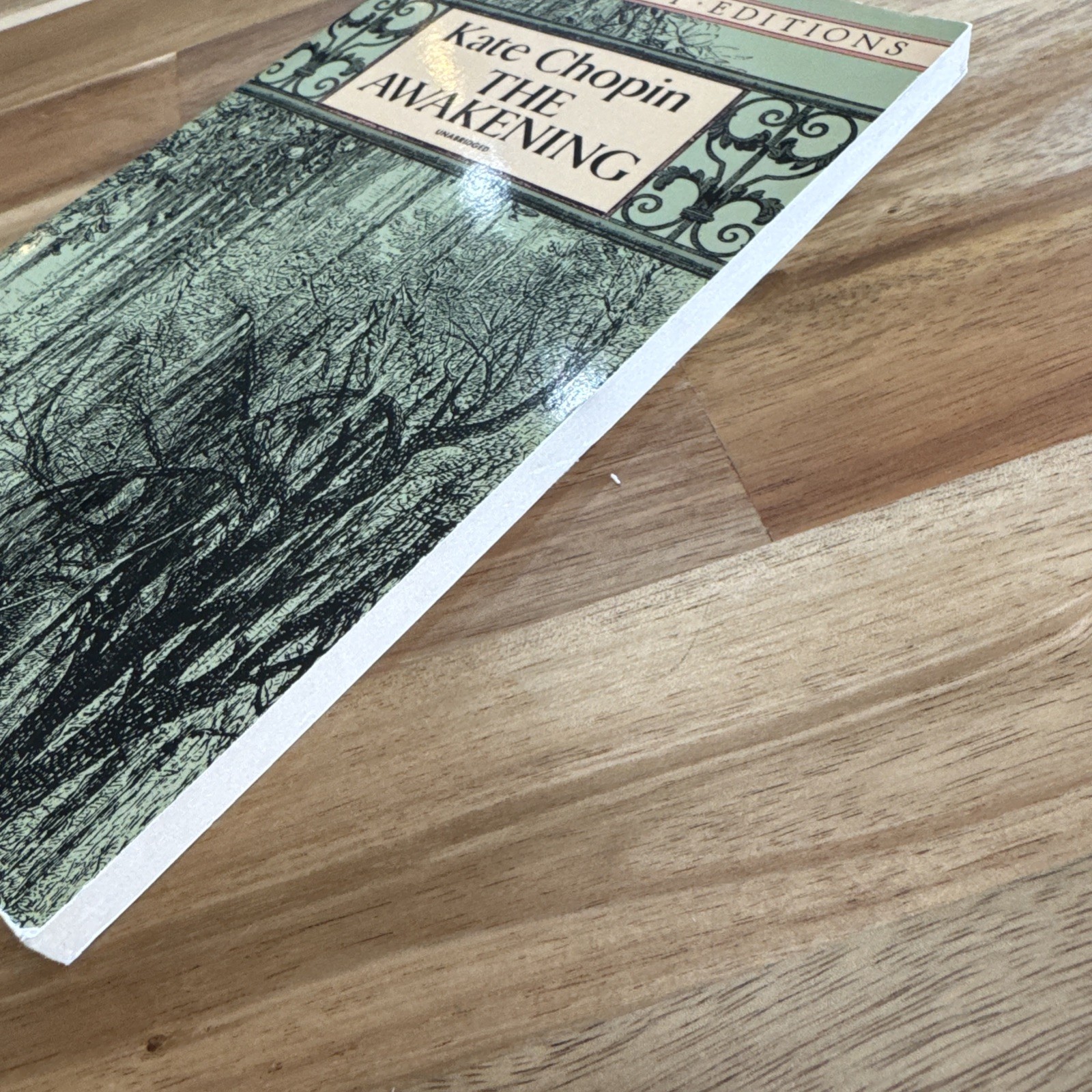 Awakening by Kate Chopin (1993, Trade Paperback)