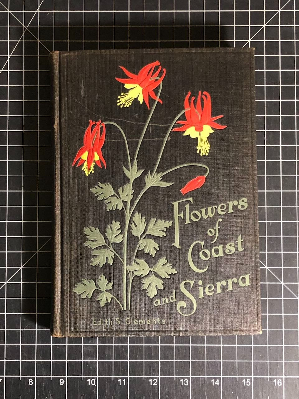 Flowers of Coast and Sierra by Edith S. Clements HC 1st/1st 32 Plates 1928