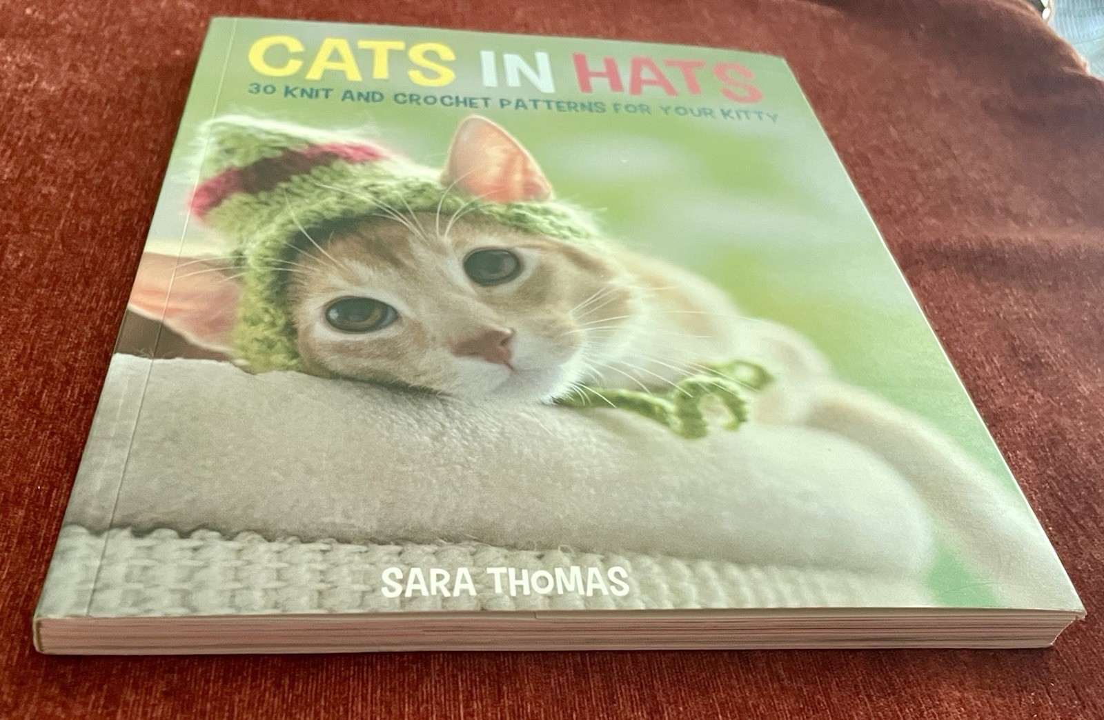 Cats in Hats: 30 Knit & Crochet Patterns for Your Kitty- Sara Thomas EUC PB 2015