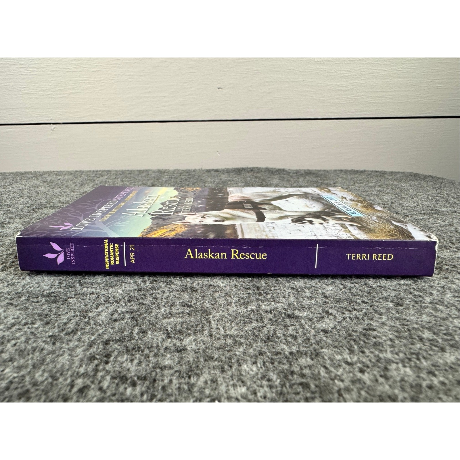 Alaskan Rescue by Terri Reed (Paperback)