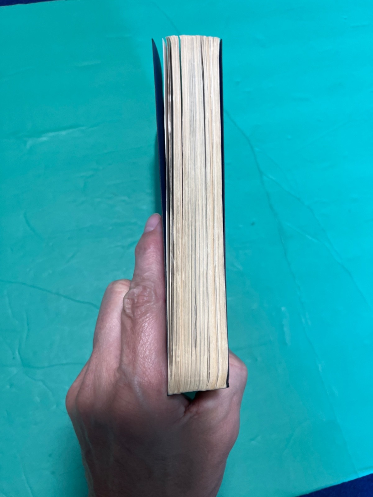 THE BLUEJACKETS’ MANUAL 17th EDITION By Naval Institute Press 1965 Navy