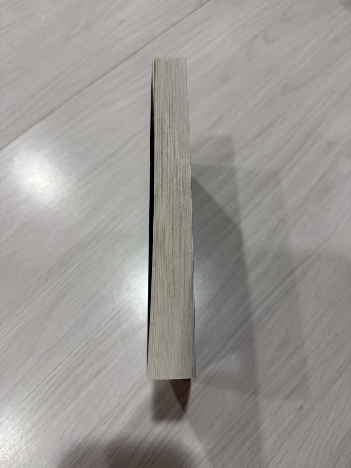 Stephen King (Richard Bachman) The Long Walk 2016 Paperback