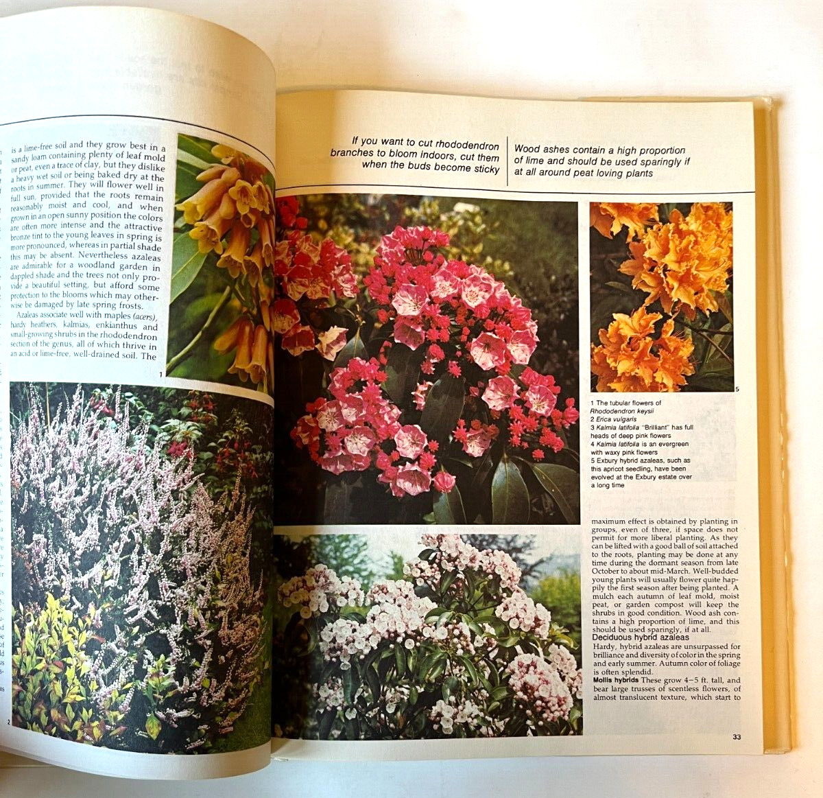 Flowers for Everywhere By Conrad B. Link & Castle Books Hardcover, 125 pages