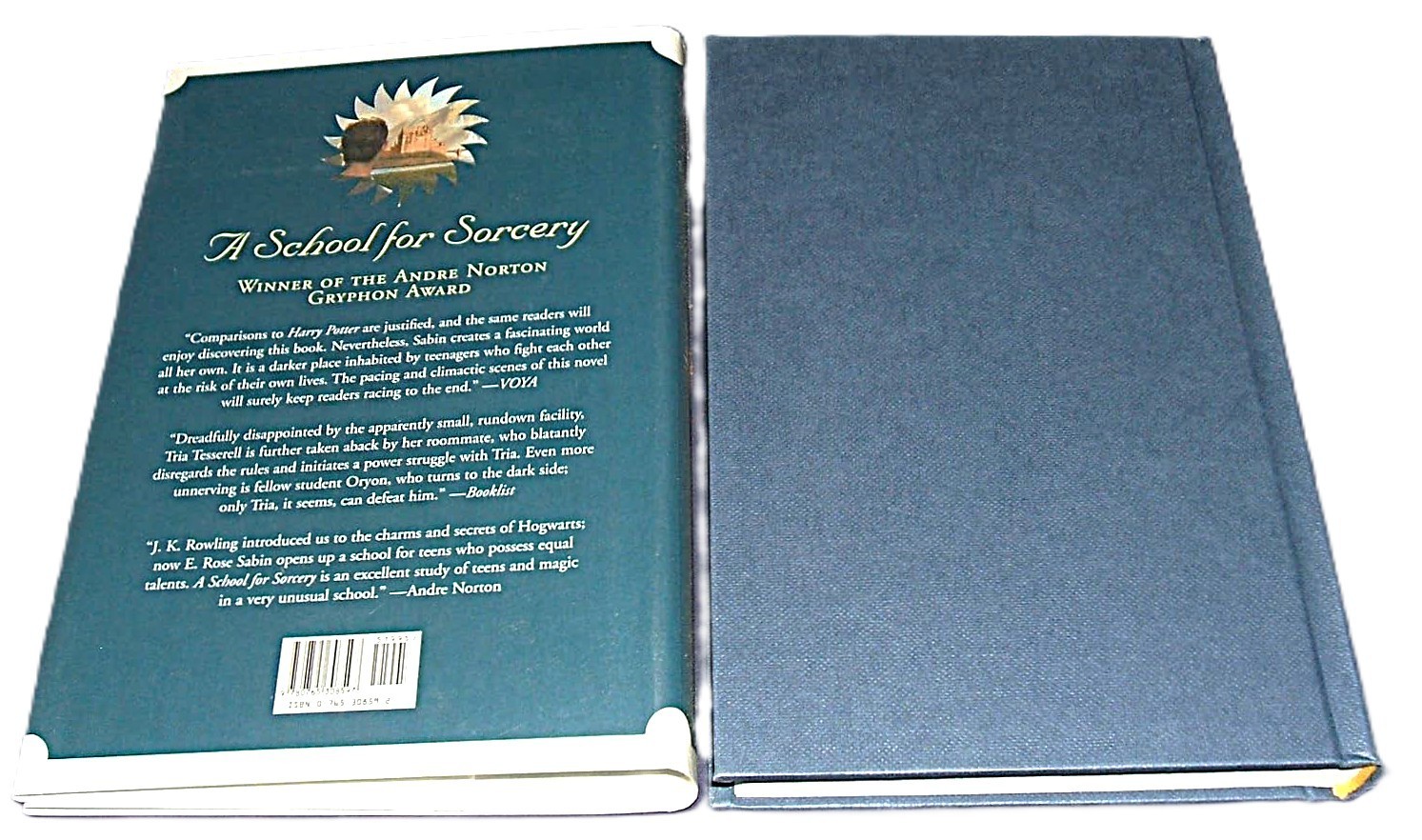 A Perilous Power E. Rose Sabin New First Edition Hardcover Dust Jacket FREE SHIP