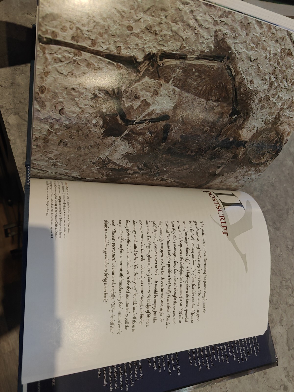 The Pterosaurs: From Deep Time By Unwin, David M. David M. Unwin