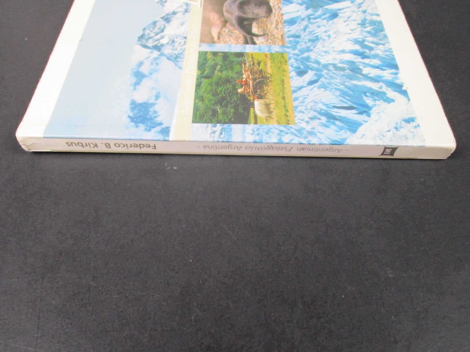 Patagonia by Federico B, Kirbus ( 2003, Softcover) Espanol – English VG