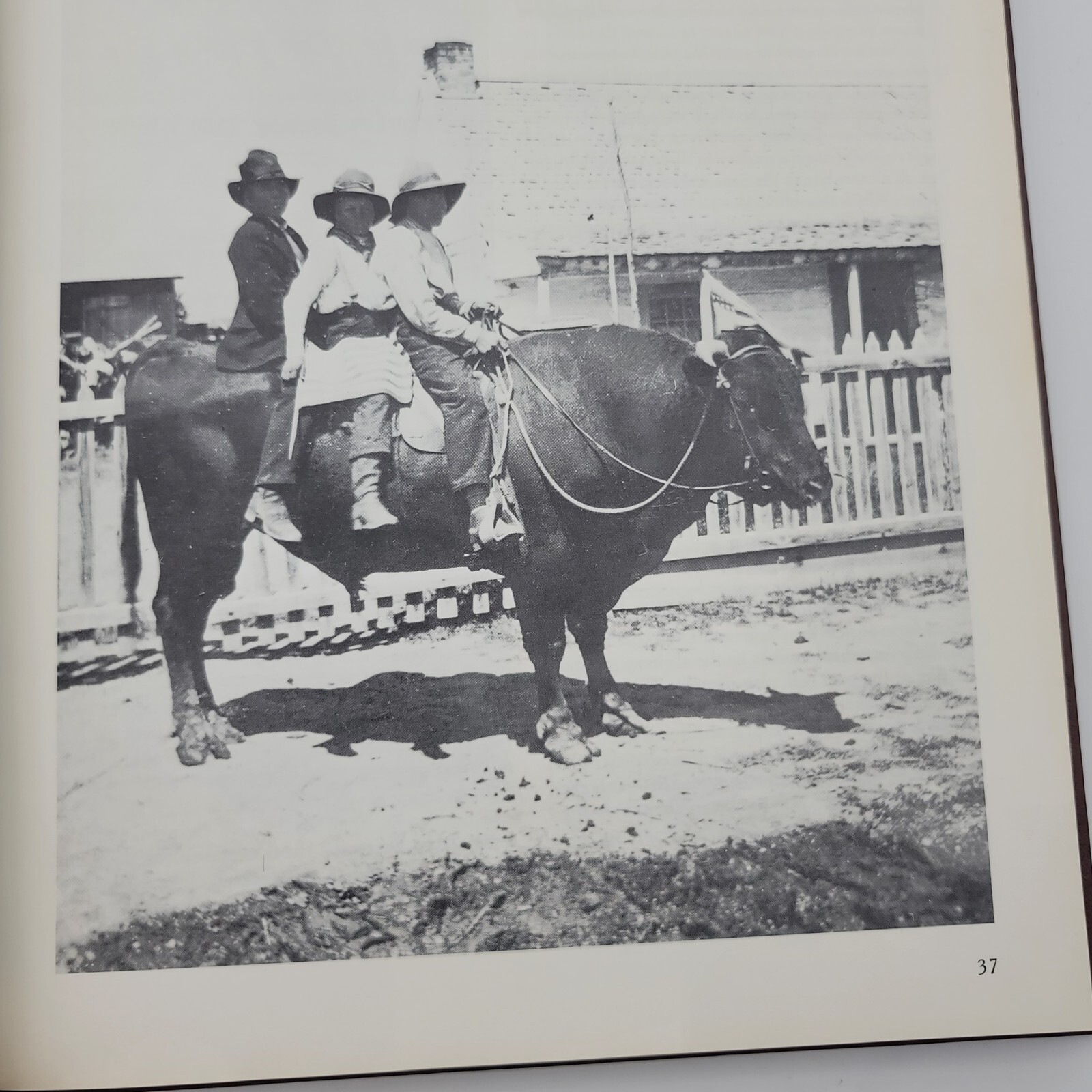 The Old West Time Life Books The Townsmen Hard Cover 1975 Vintage