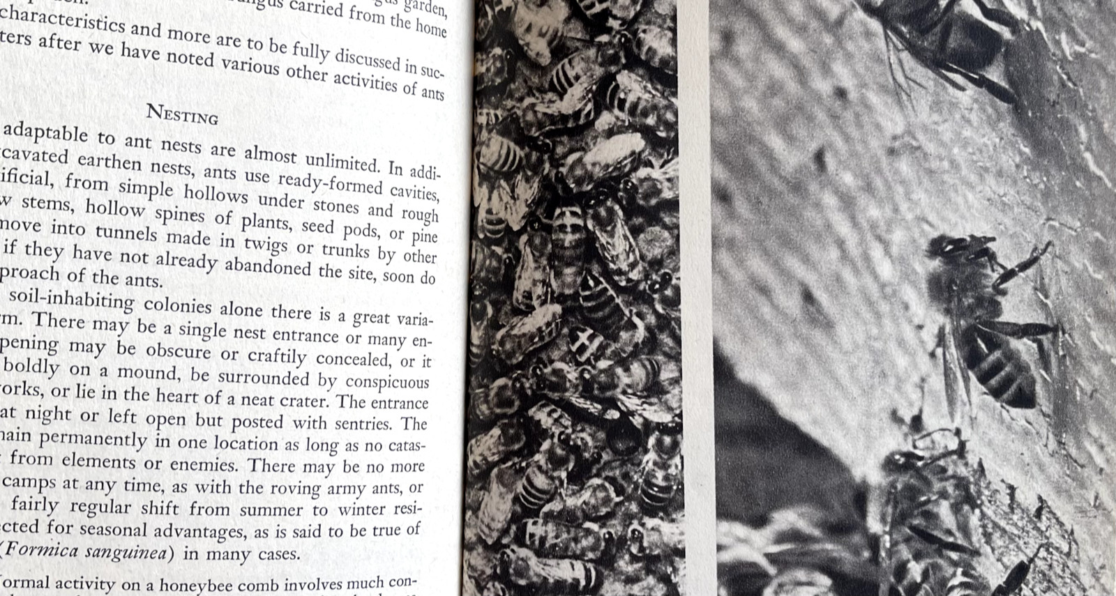 1951 AMERICAN SOCIAL INSECTS by Michener 1st Ed/hb/267pp/DJ/NICELY ILLUSTRATED