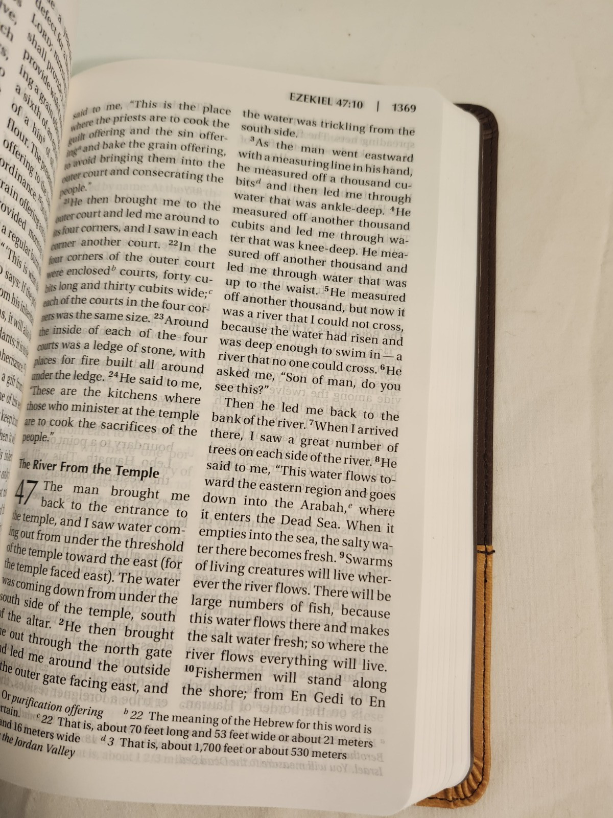 NIV Bible Zondervan Personal Size Large Print Leathersoft Chocolate/Amber 2011