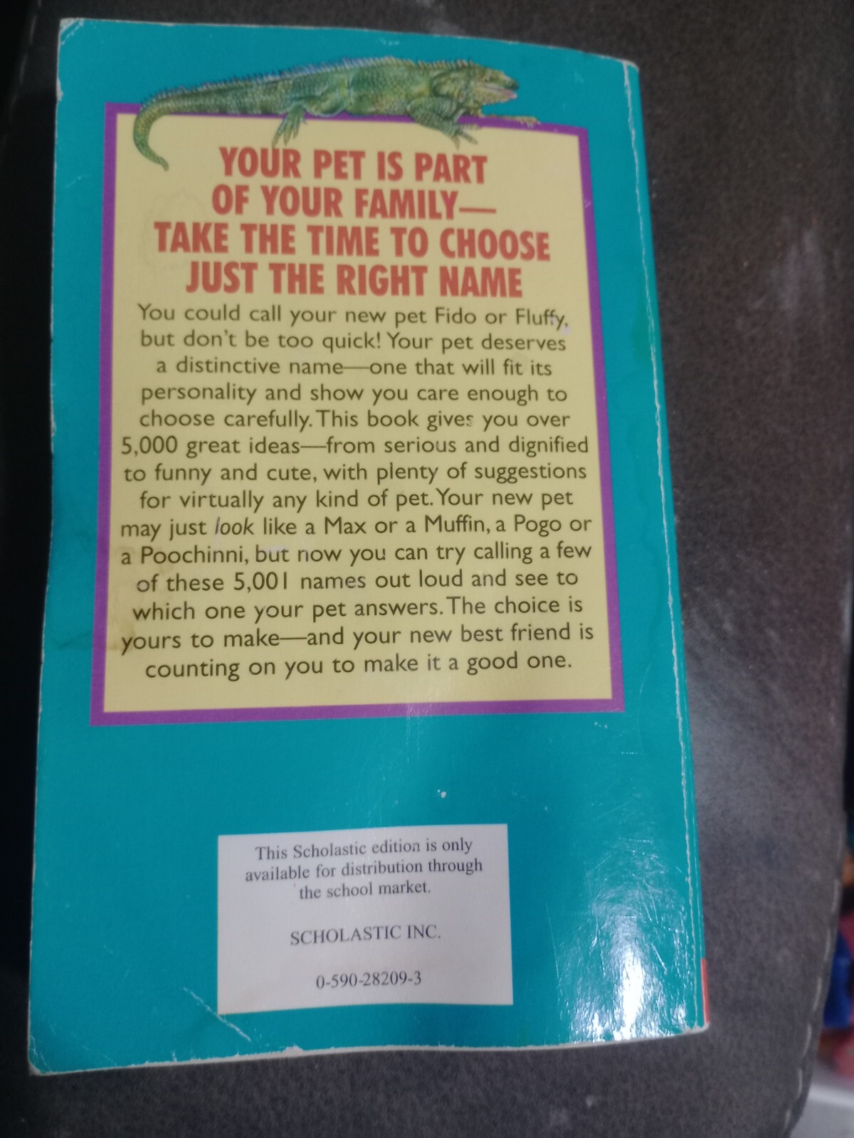 1995 Schoolastic “Don’t Call Me Rover: 5001 Names For Your Pet