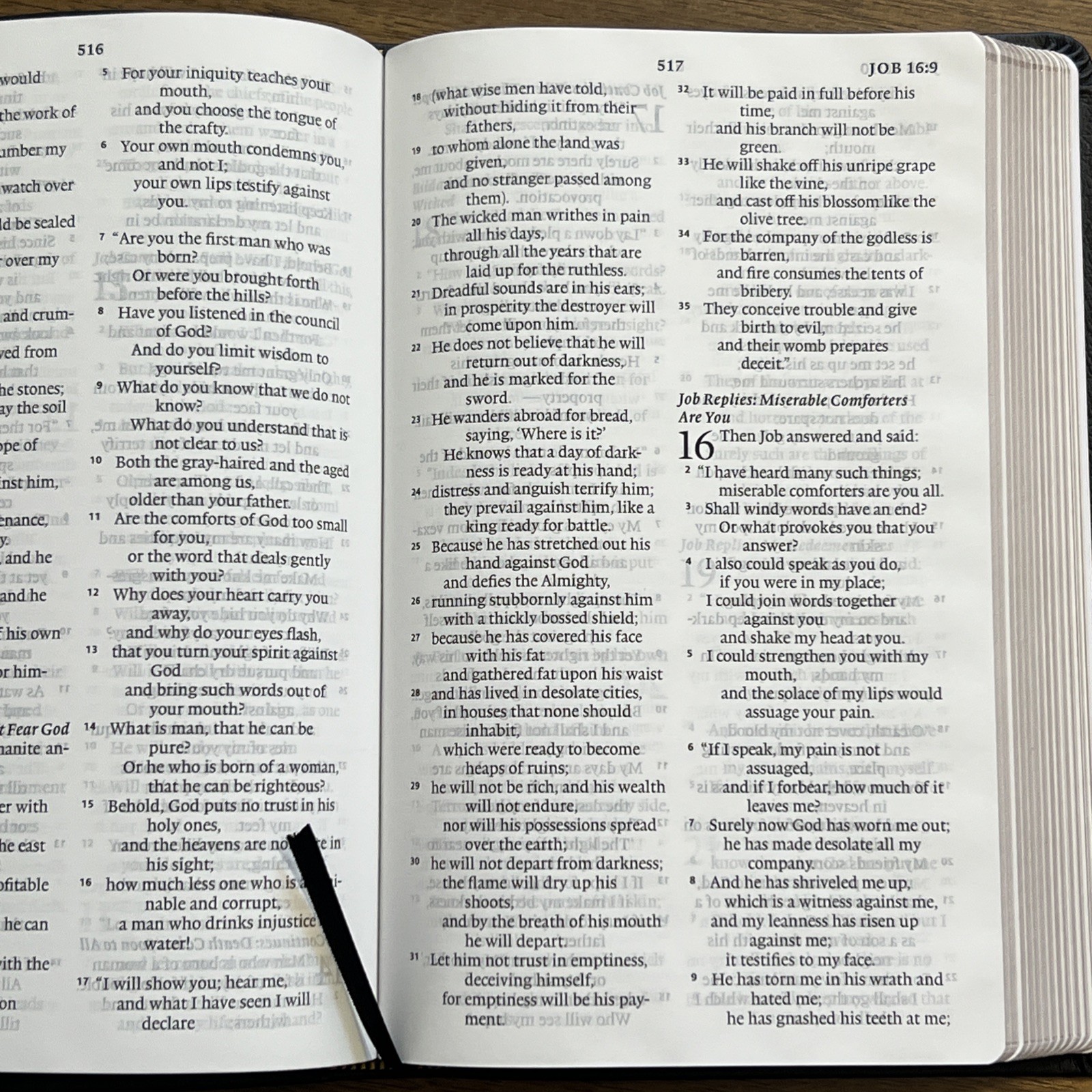 ESV Large Print Thinline Bible (Black Genuine Leather)