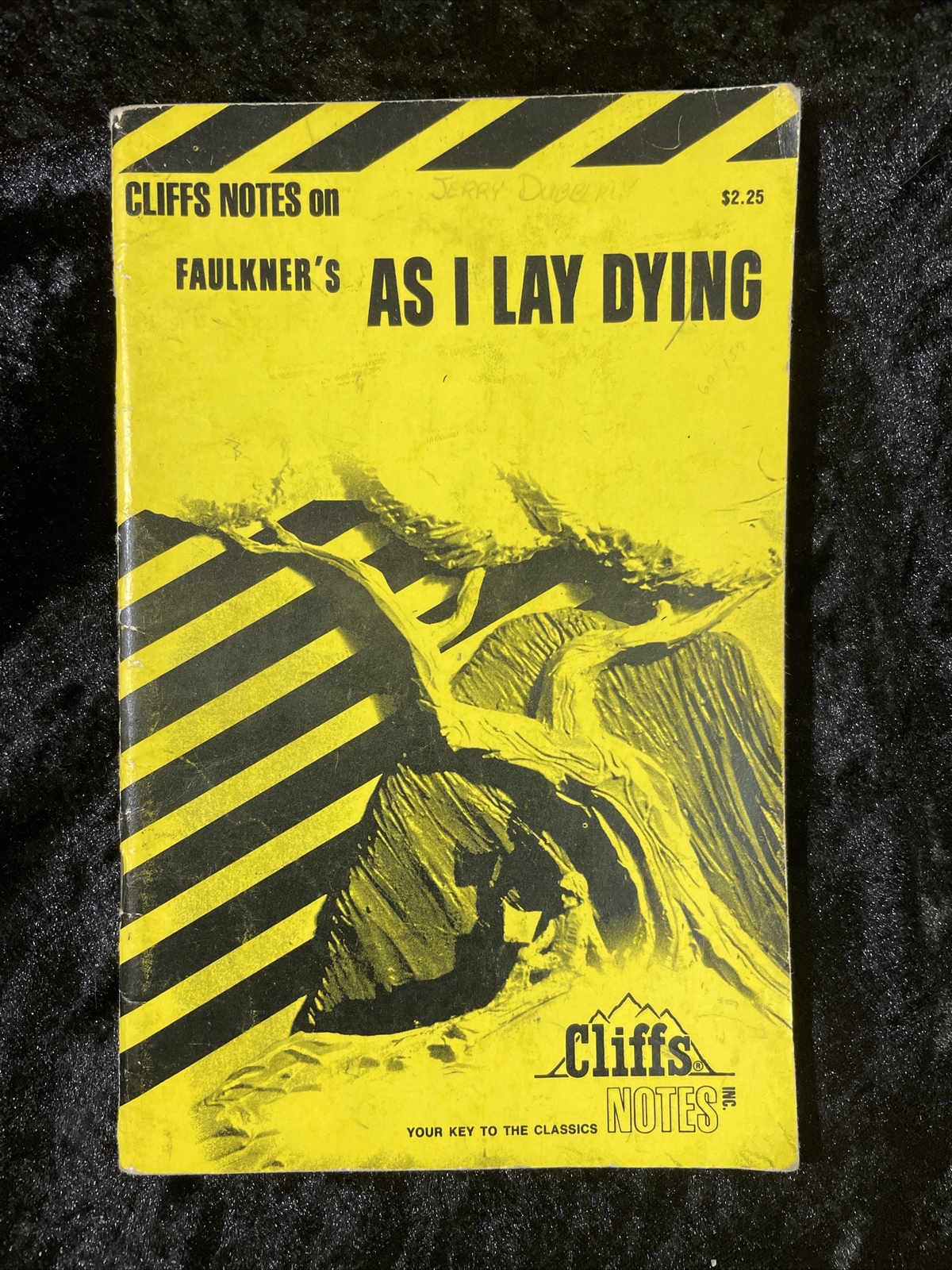 CliffsNotes – Select from several titles – volume discount – Atlas Shrugged &
