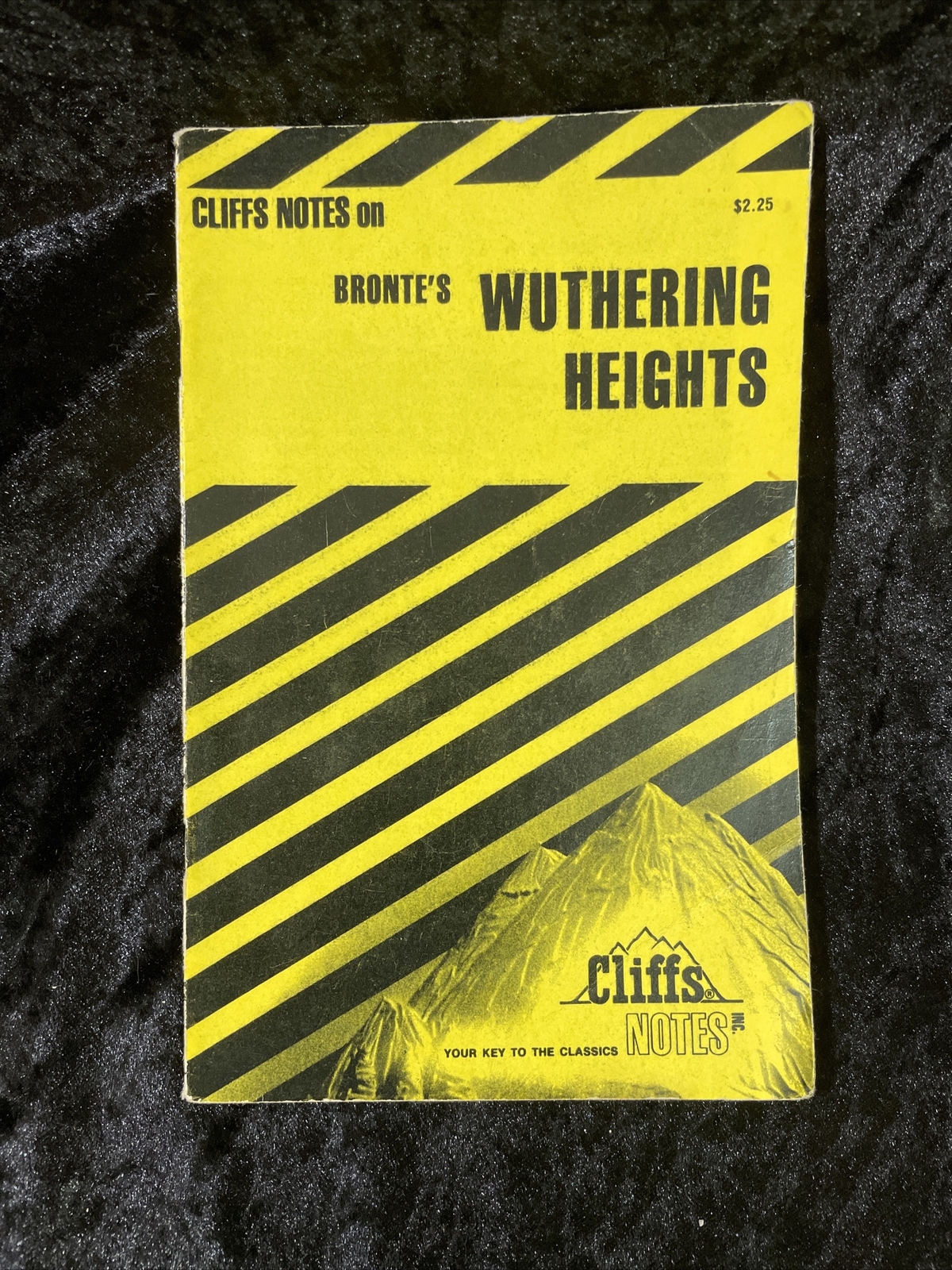 CliffsNotes – Select from several titles – volume discount – Atlas Shrugged &