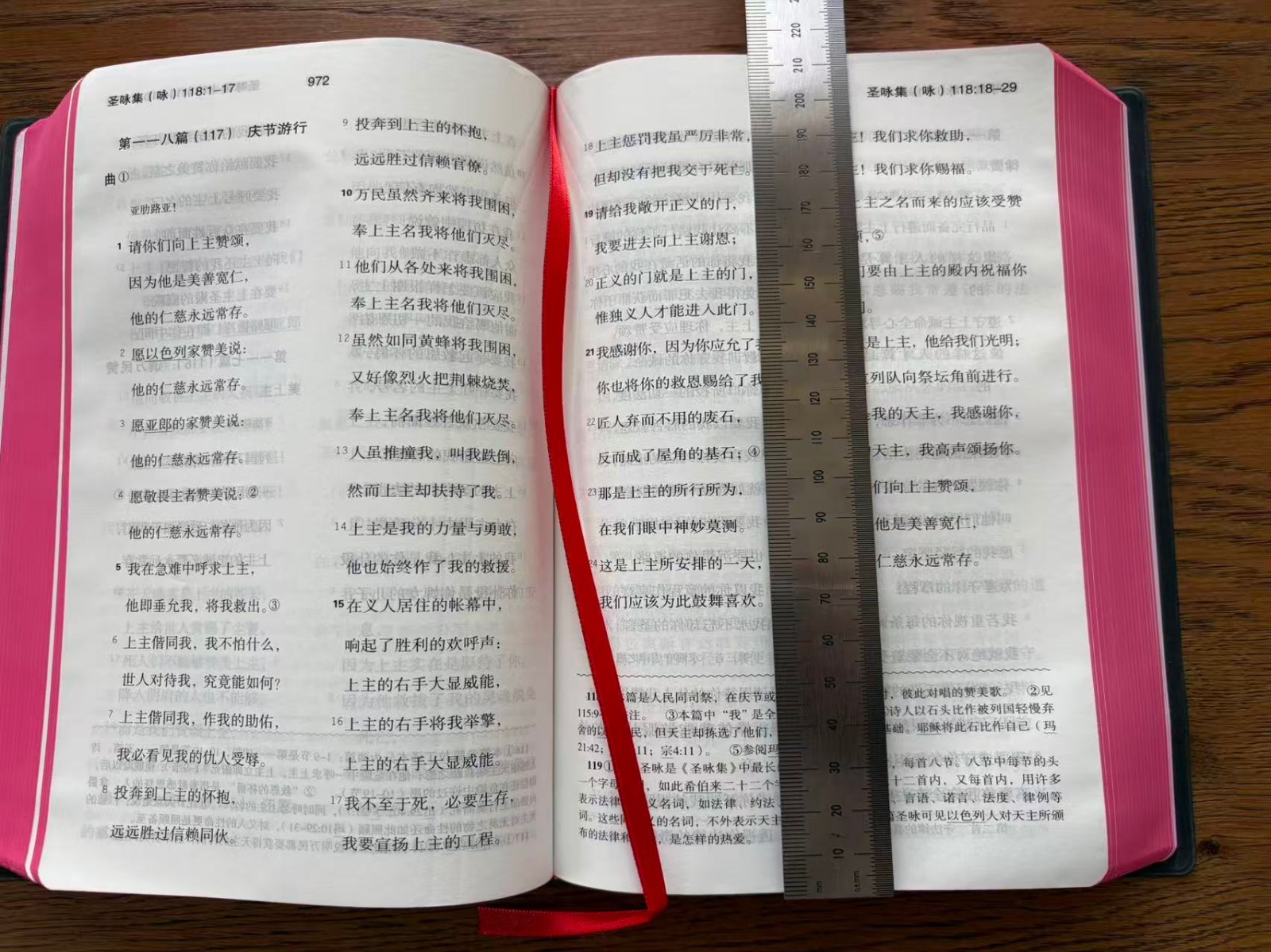 Catholic Chinese Bible Studium Biblicum 思高圣经 天主教 简体中文大字 25K 红边 US Stock 美国本土包邮发货
