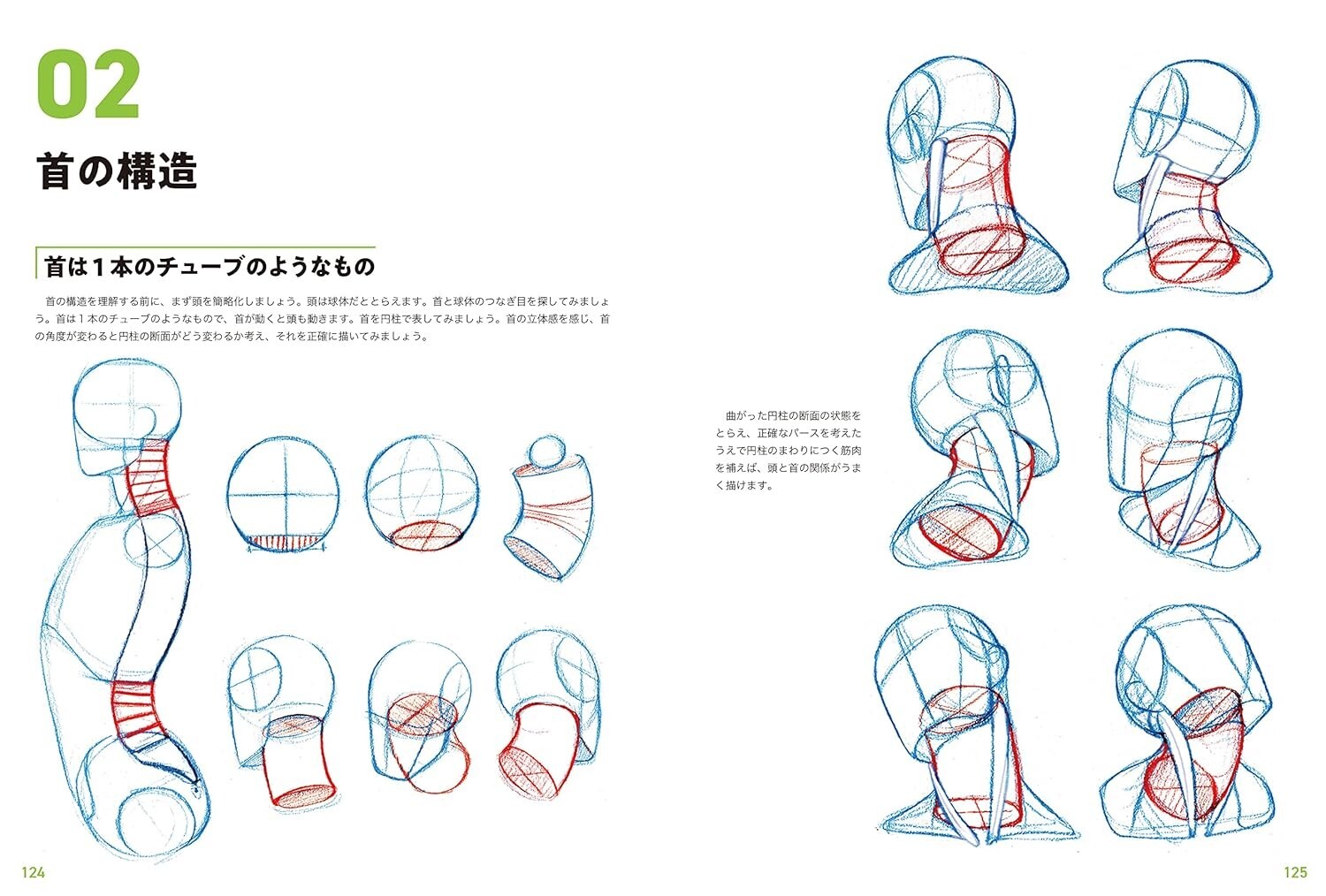 ”New” How to Draw the Human Body Master Guide Japan Manga Illustrations Art Book