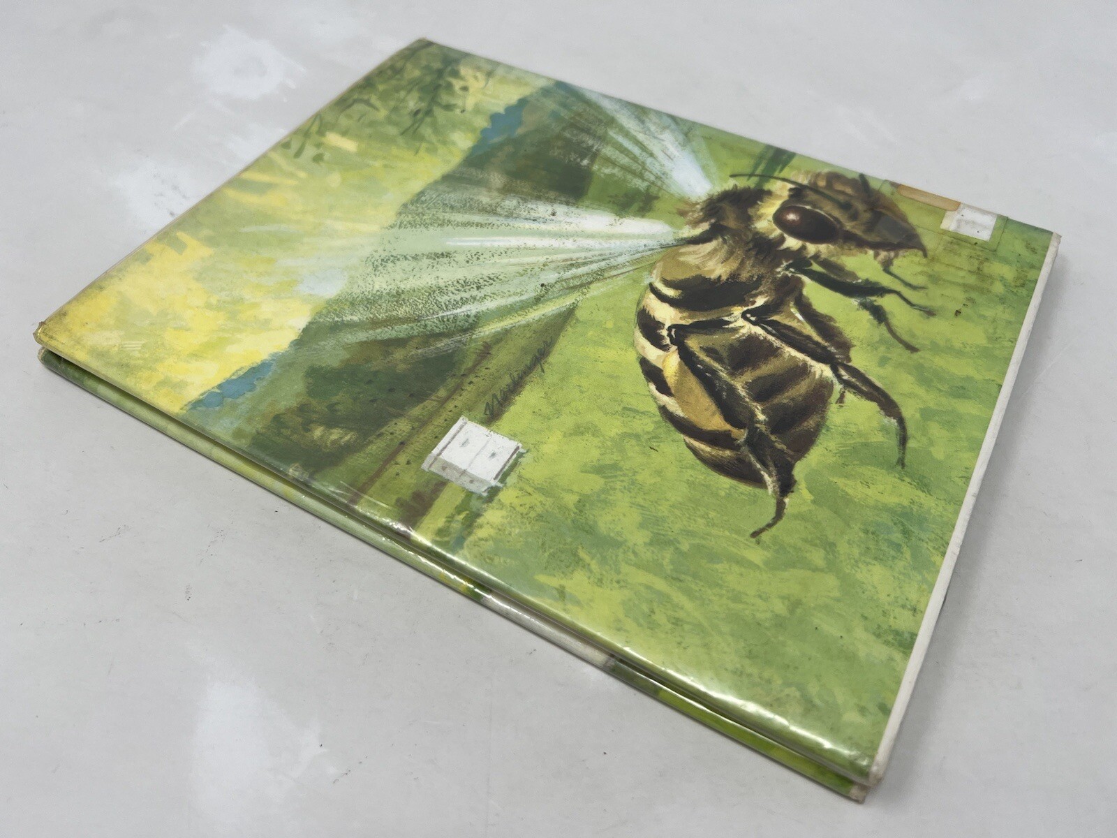 JERRY FINDS BEES Darby, Gene Published by Steck-Vaughn Co., Austin, TX, 1967
