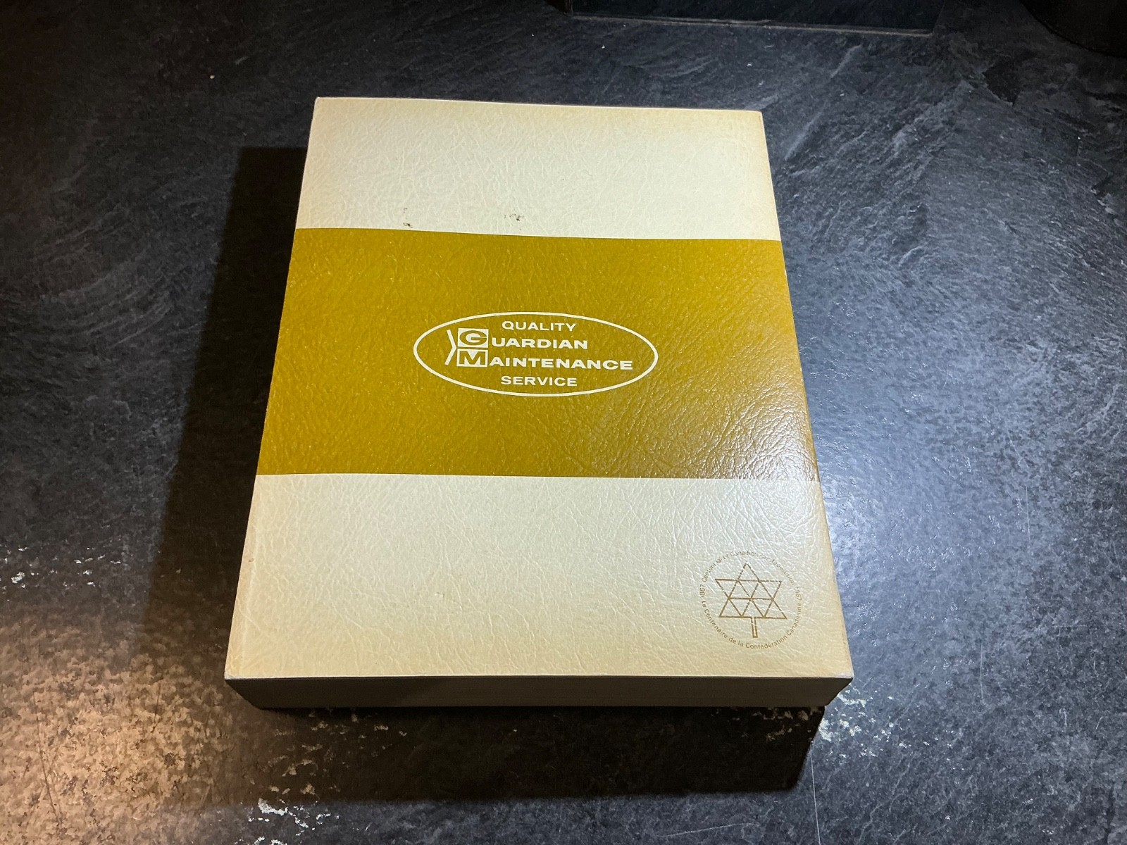 1967 GMC Truck Series 910-960 Shop Manual Canada Suburban Handi-Van 920
